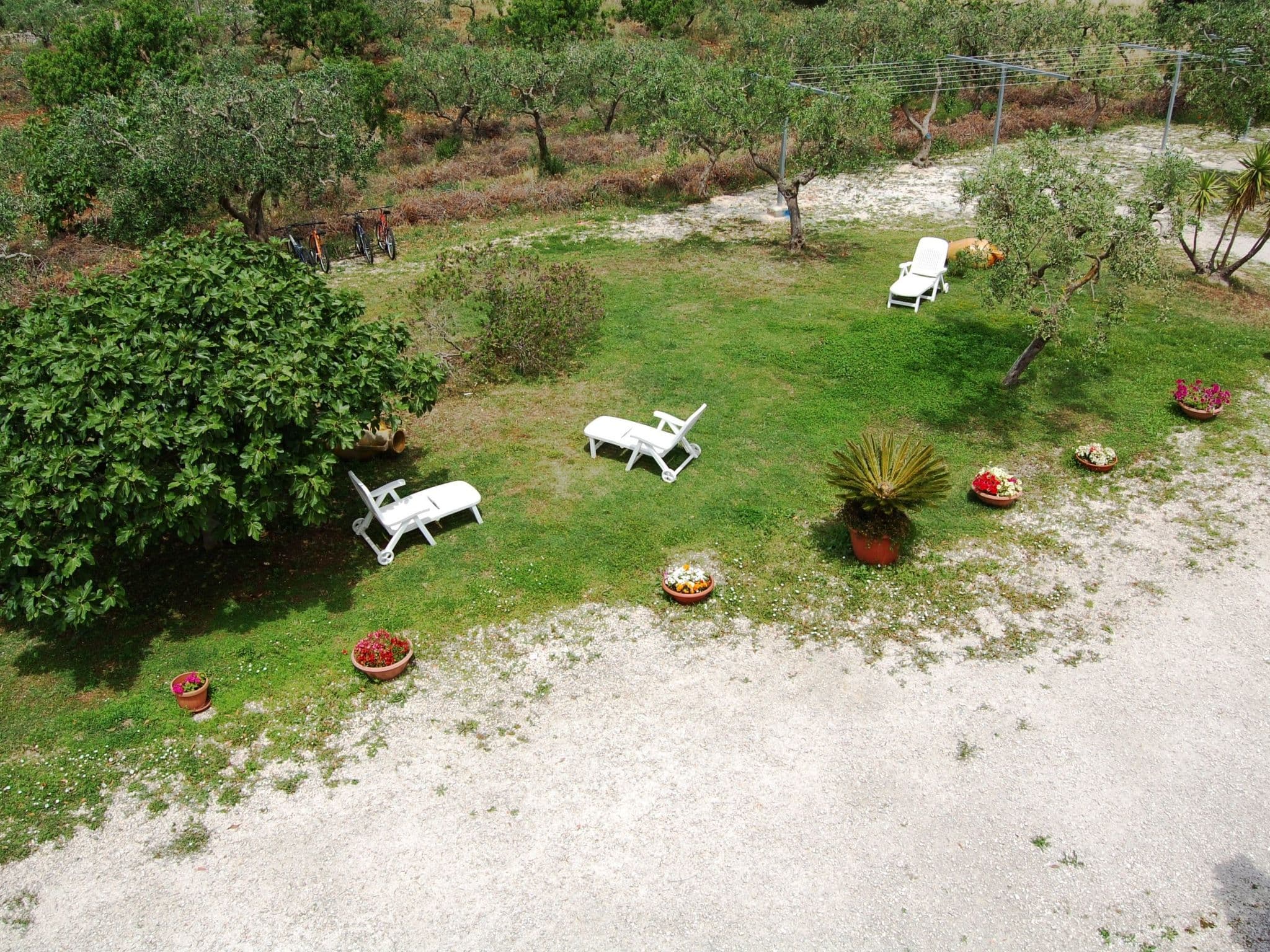 Gallery Image 23