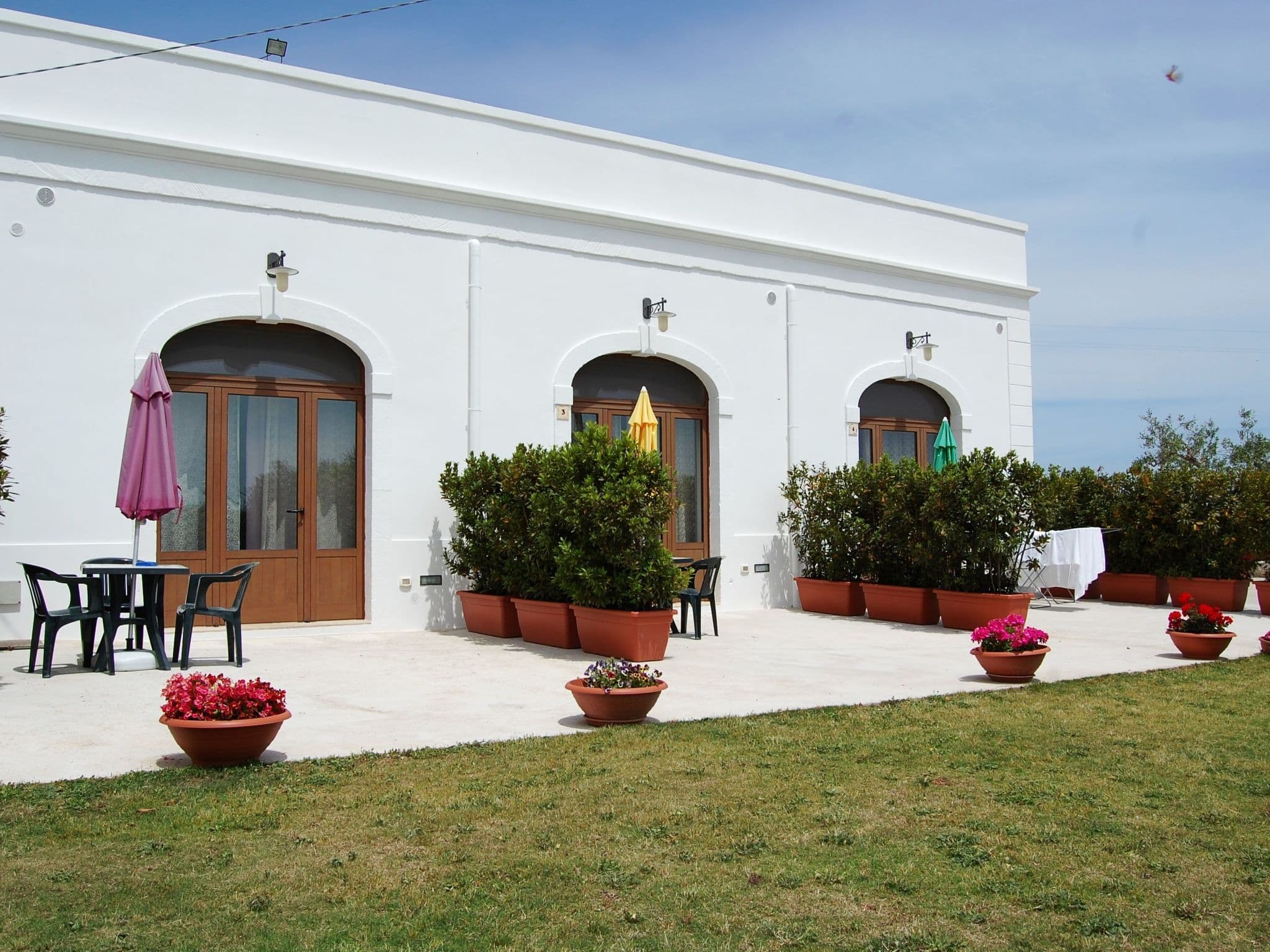 Terrace