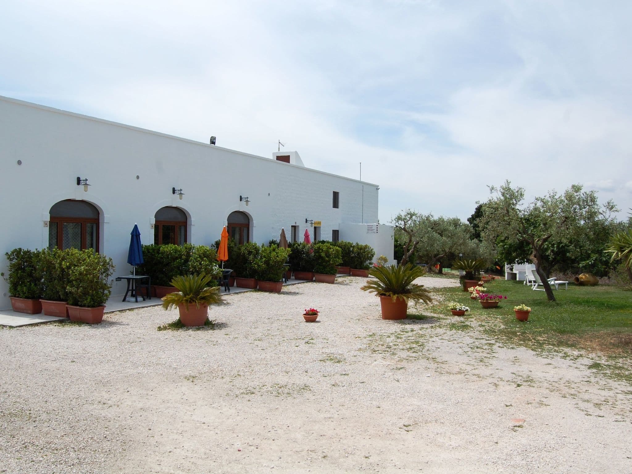 Terrace