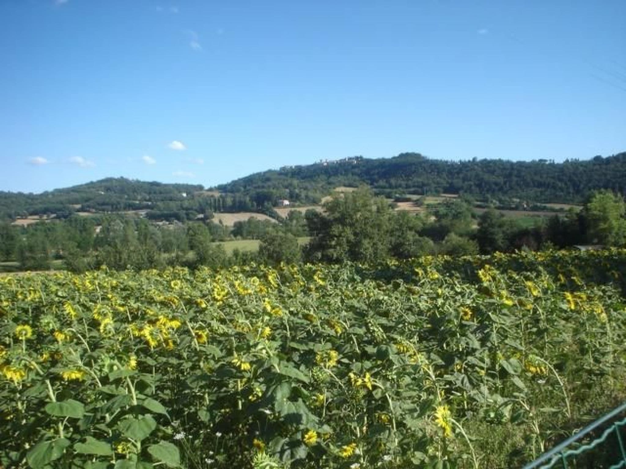 Gallery Image 21