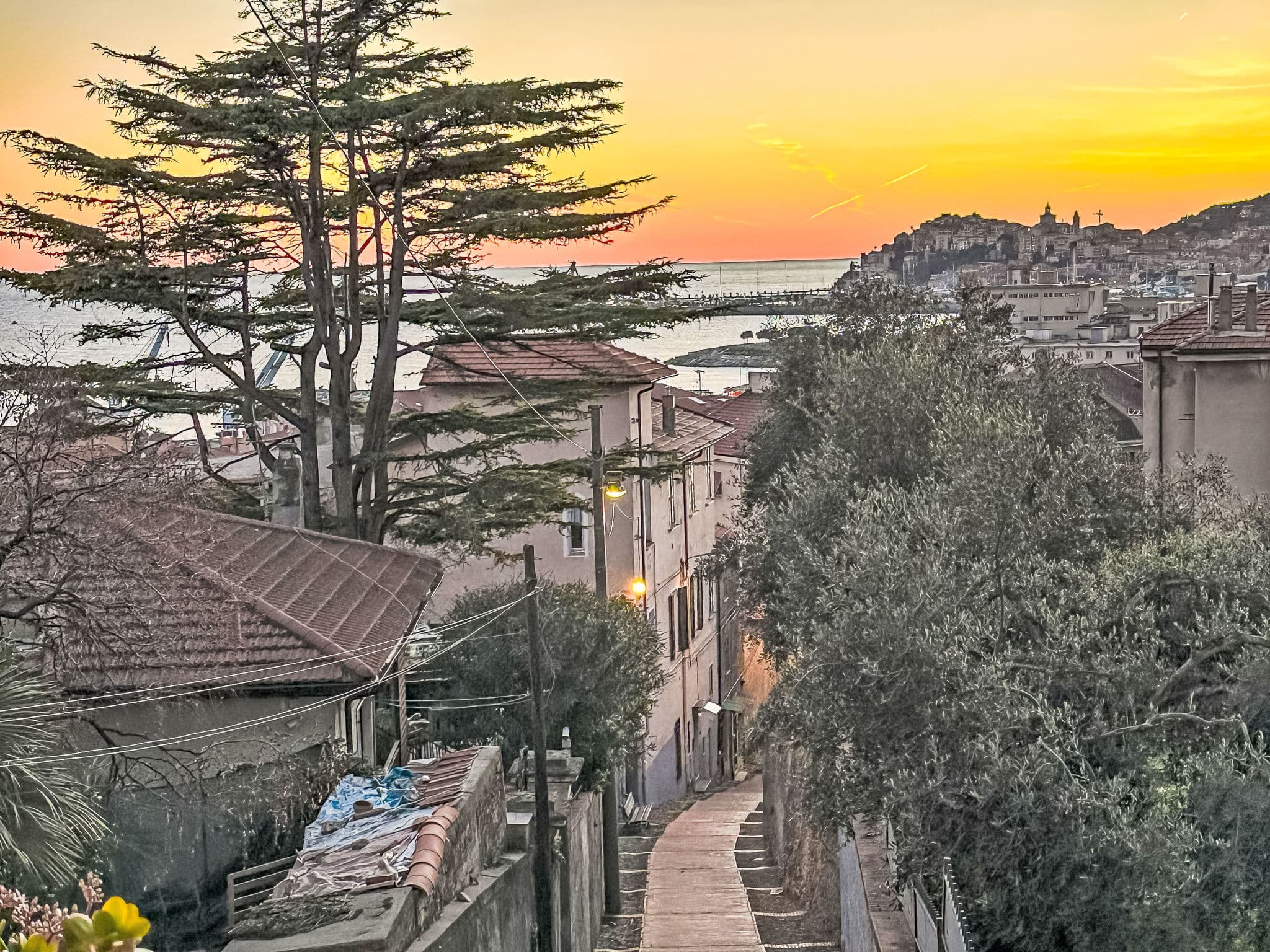 View