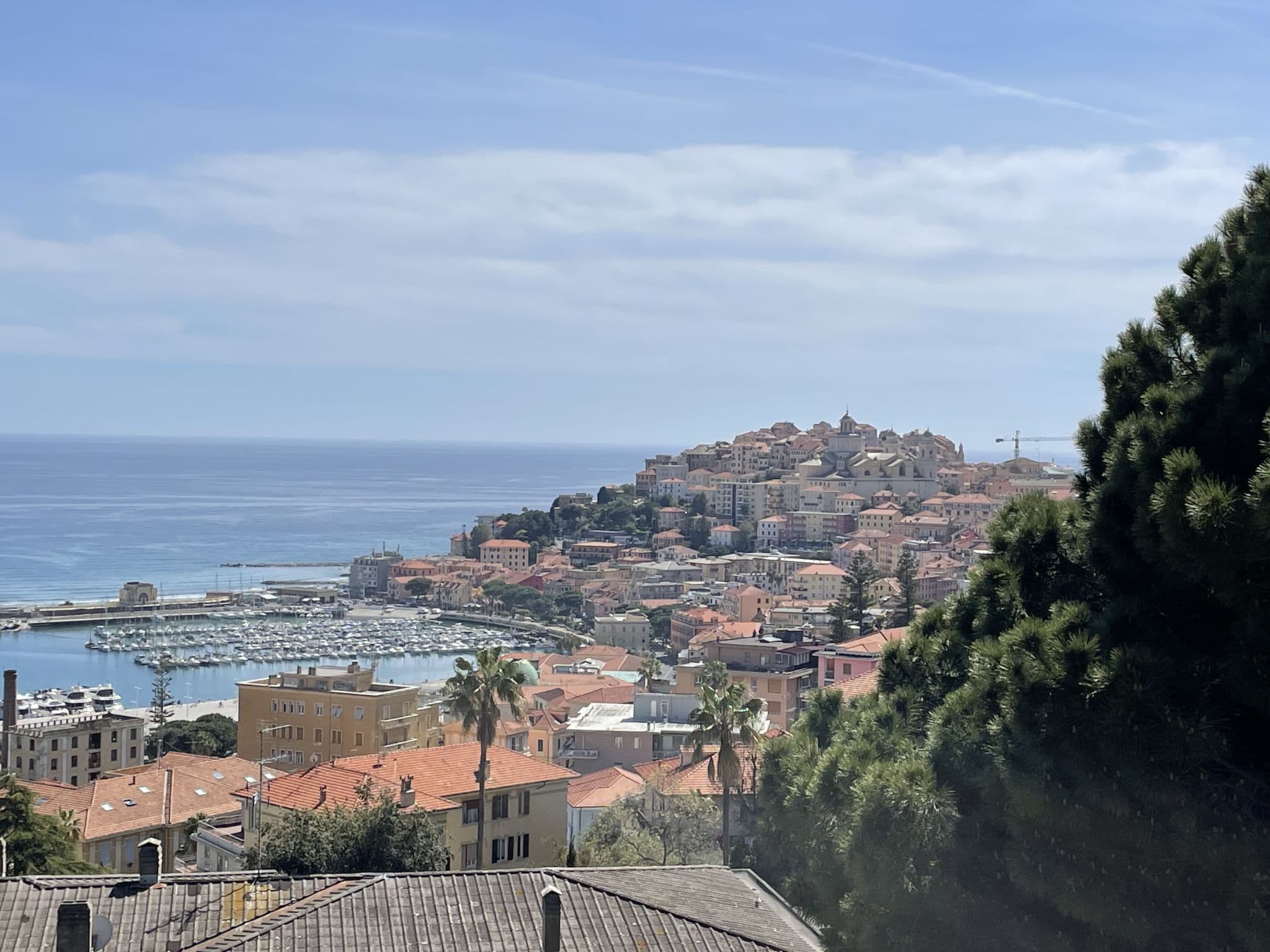 View