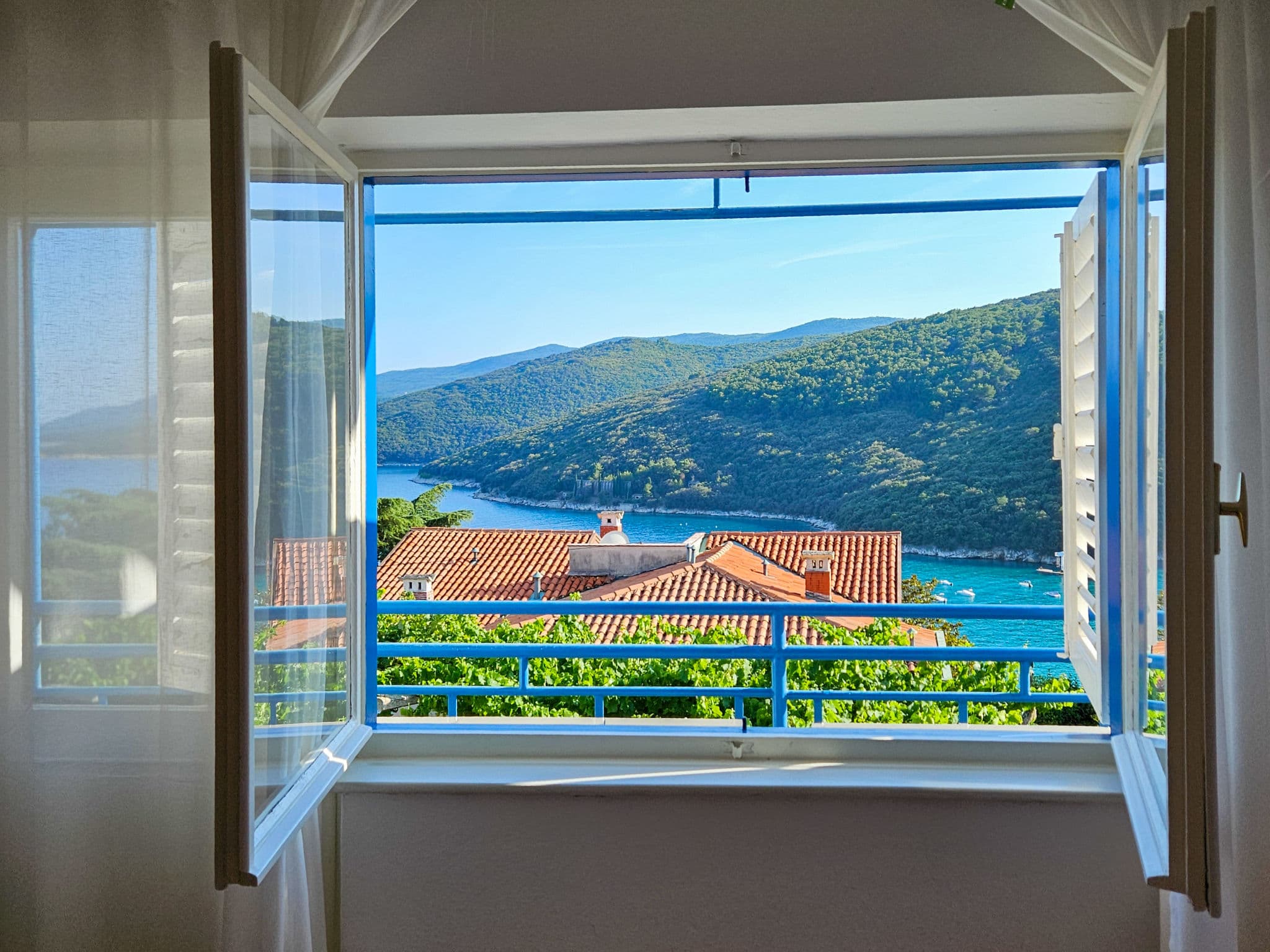 View