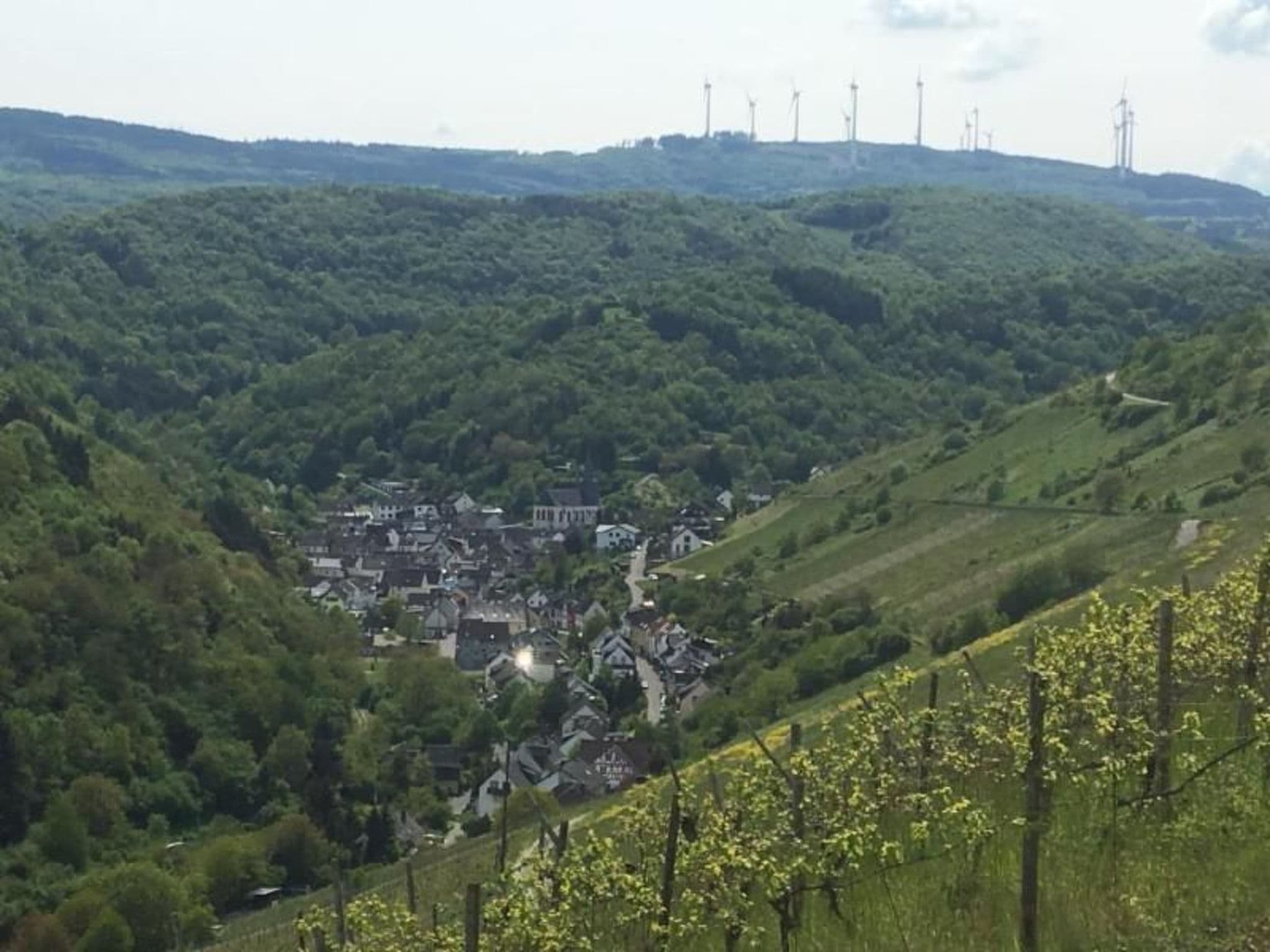 View