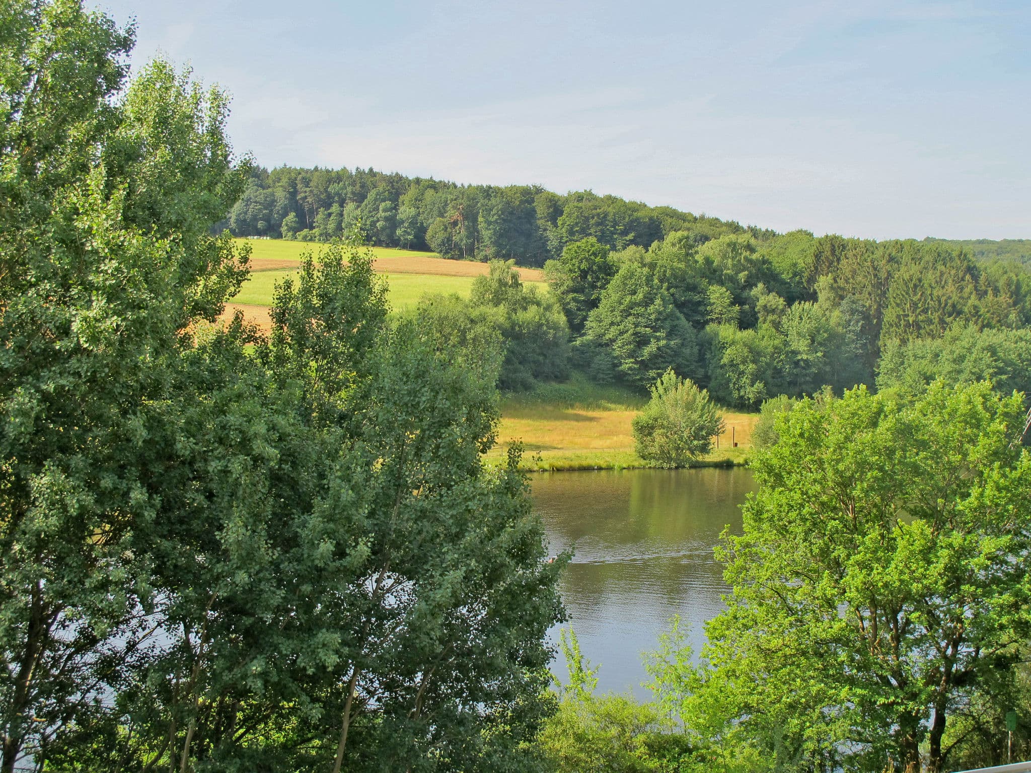 View