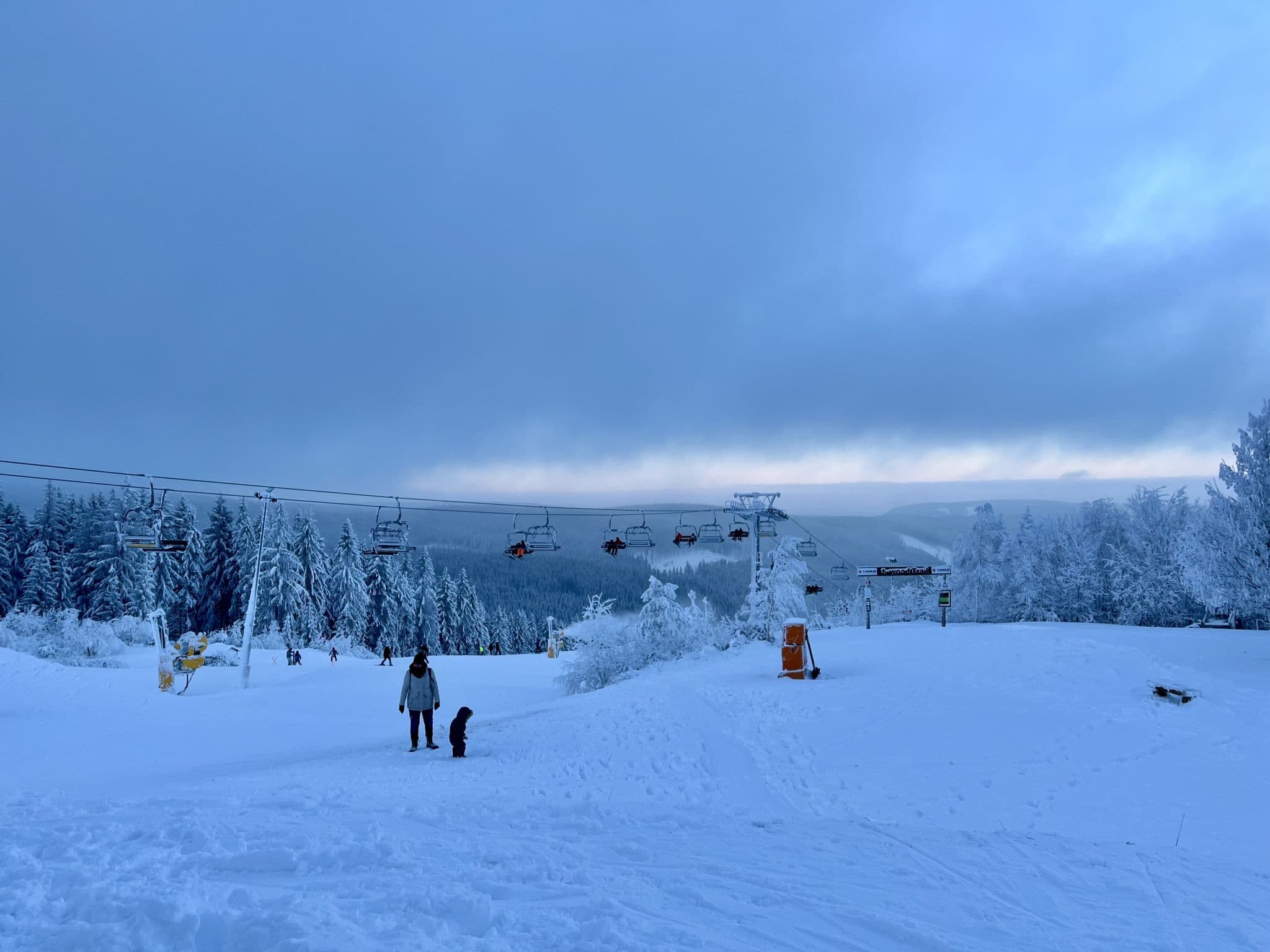 View