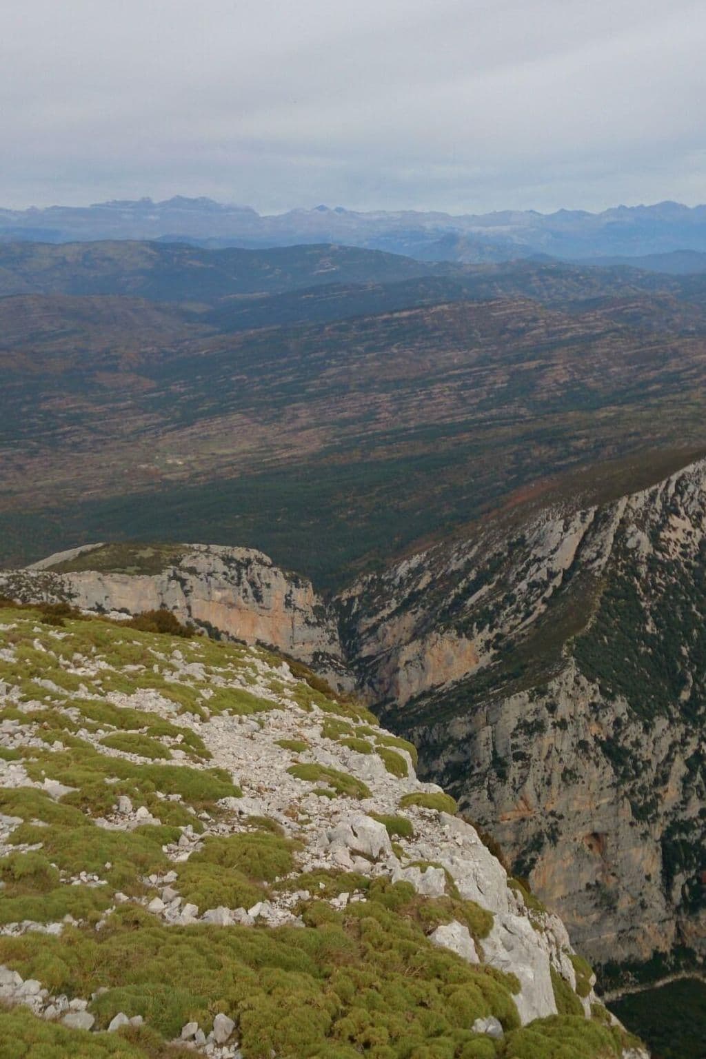 View