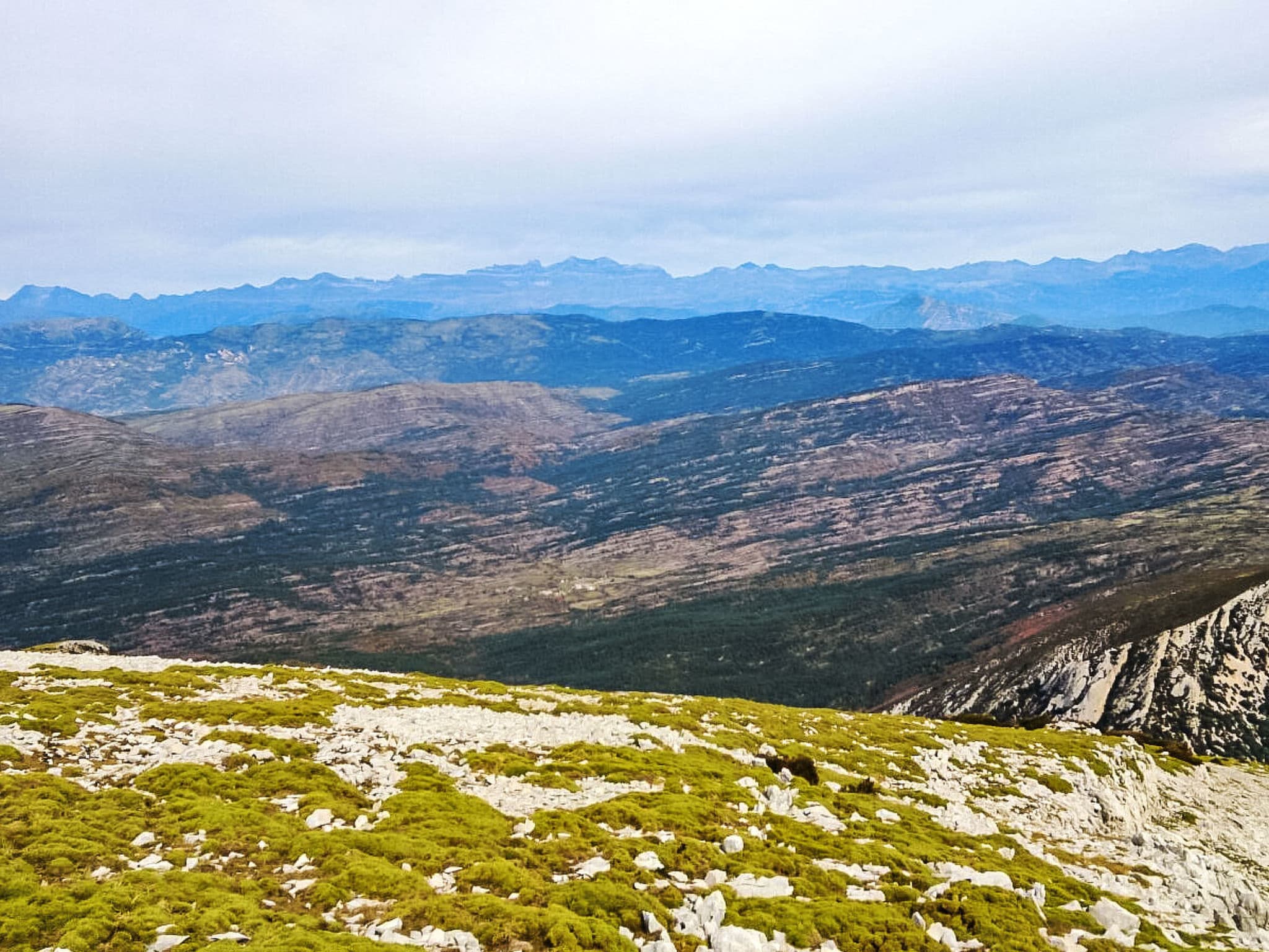 View