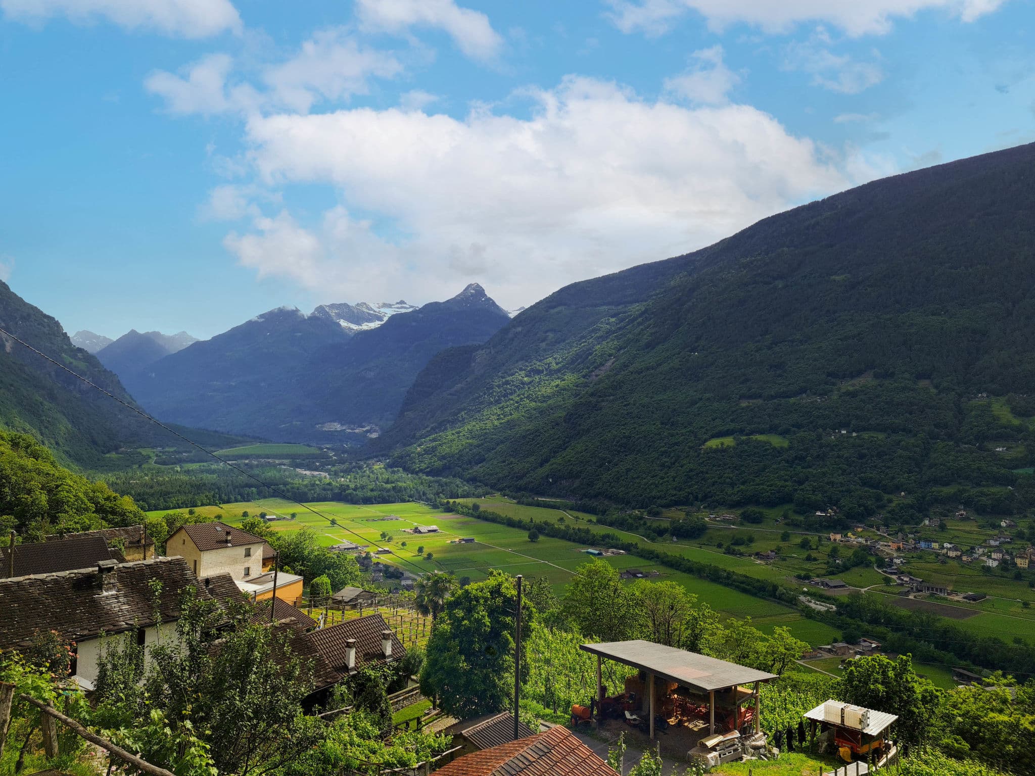 View