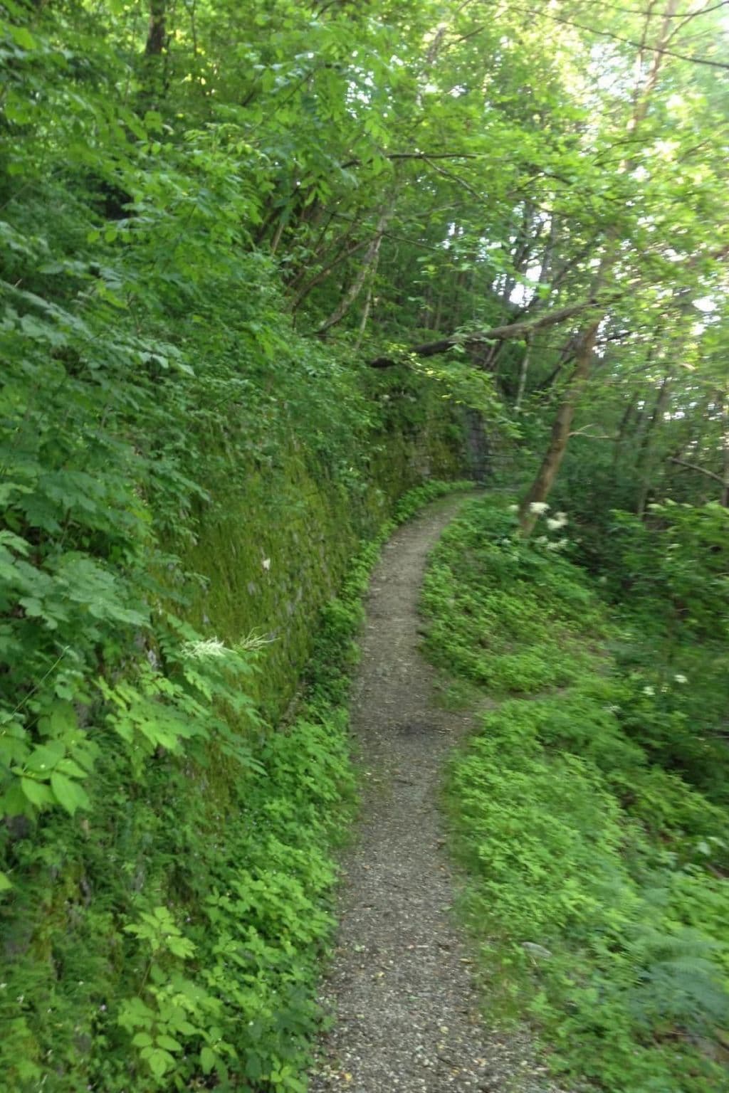Gallery Image 17
