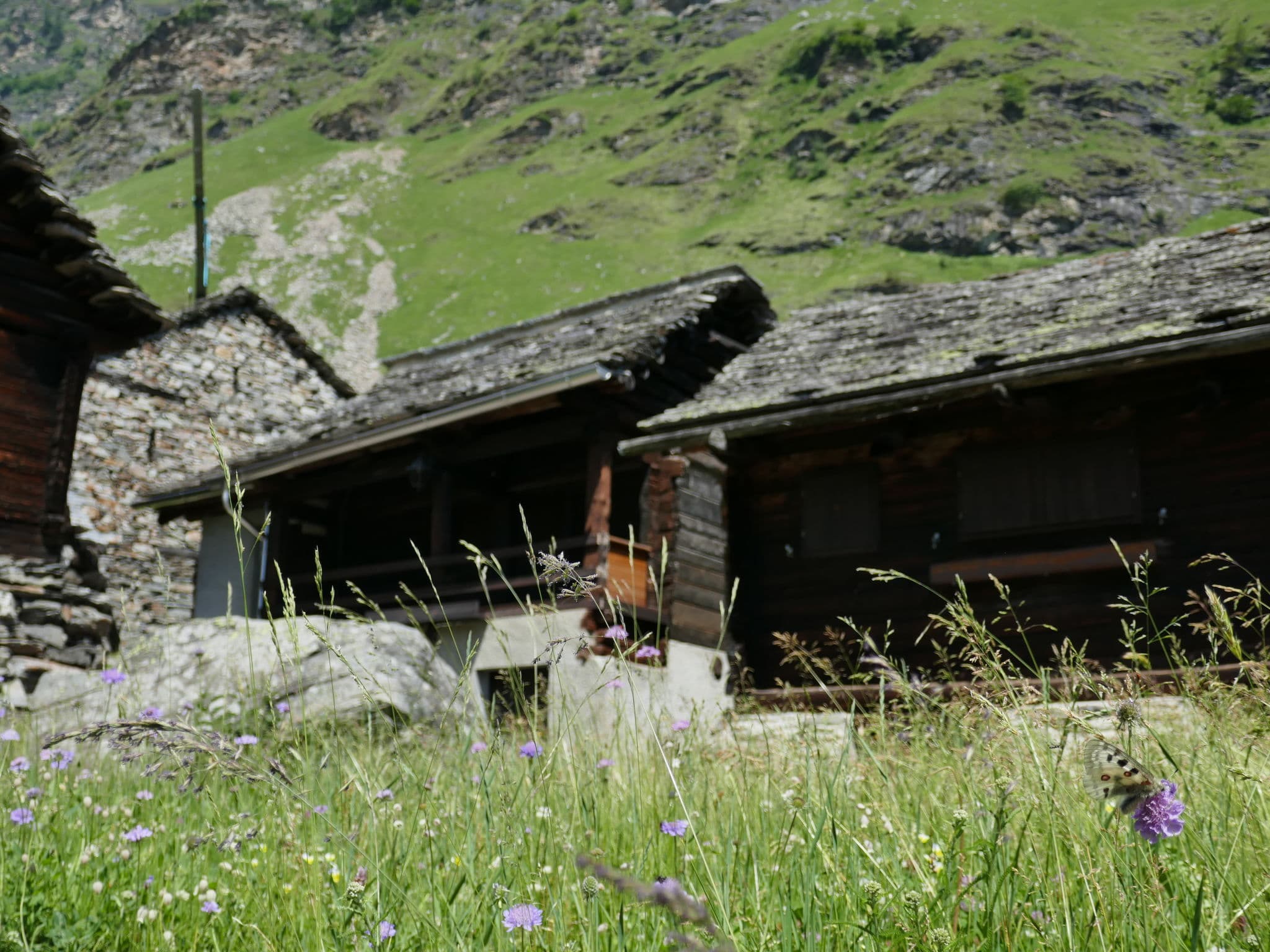 Place