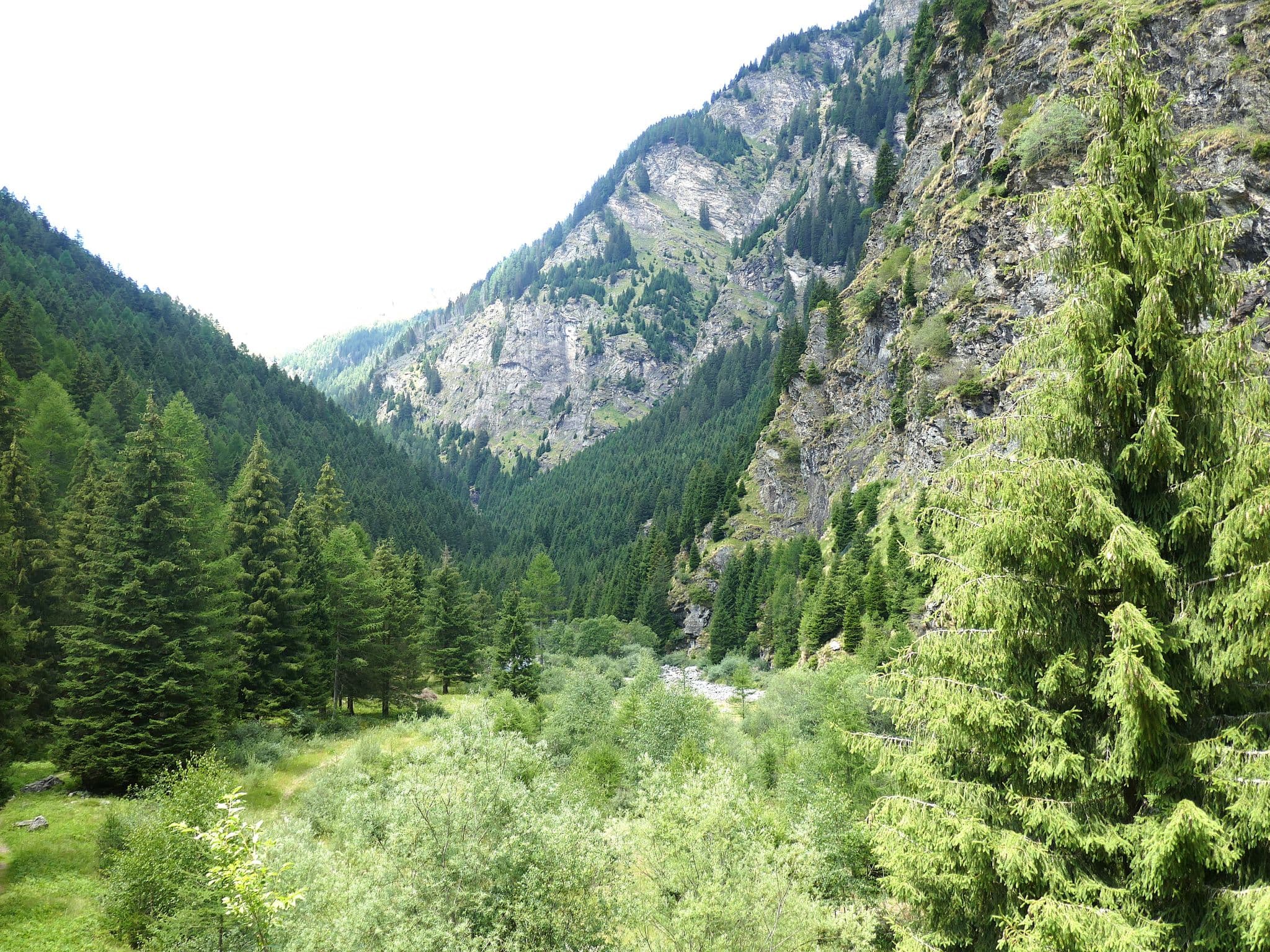 View