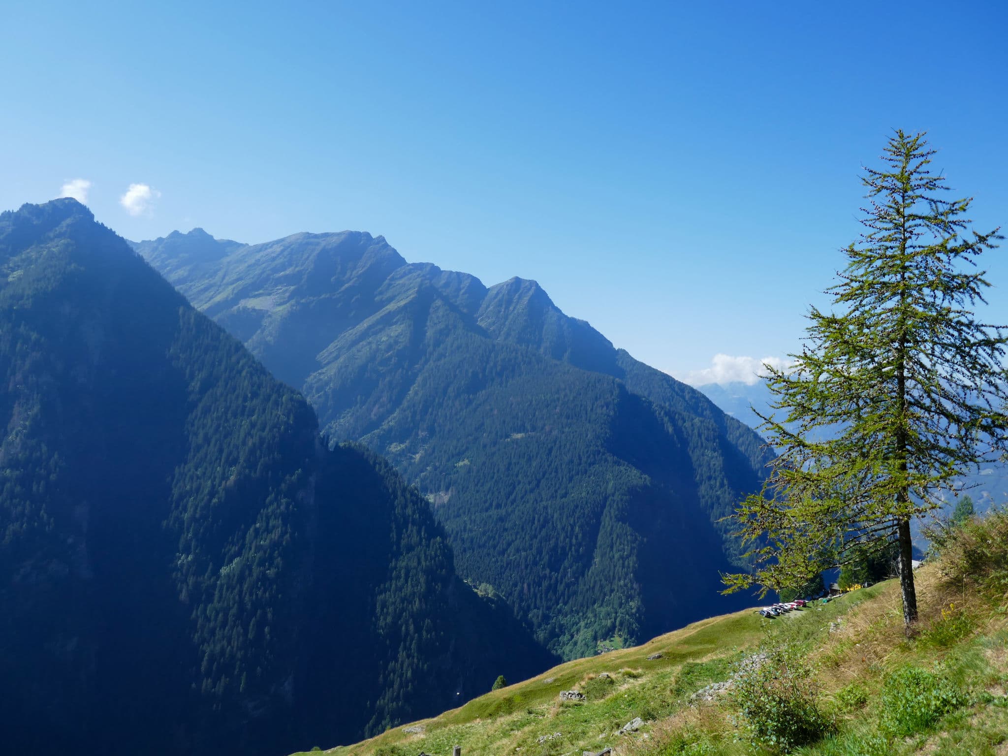 View