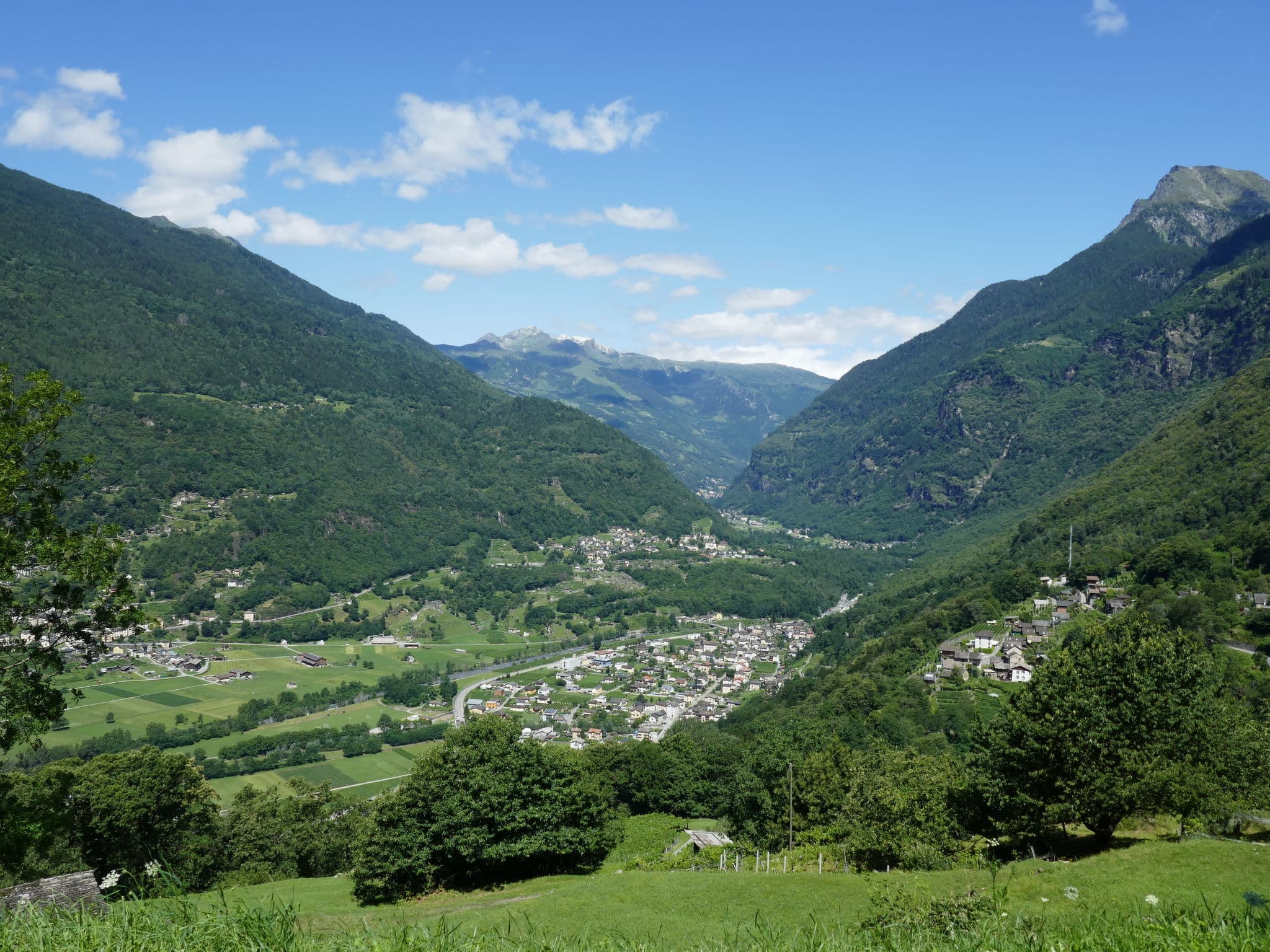 View