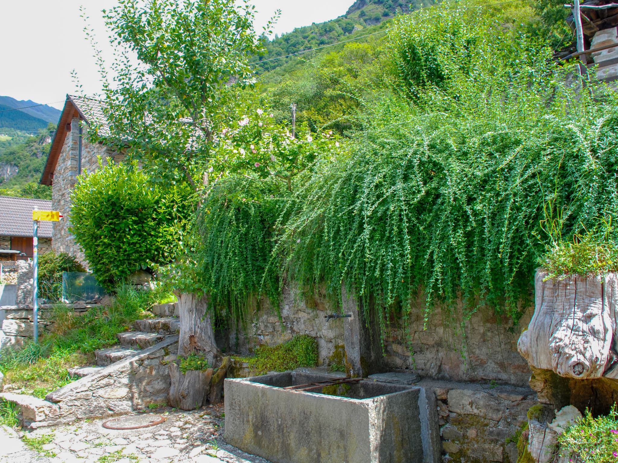 Outdoor