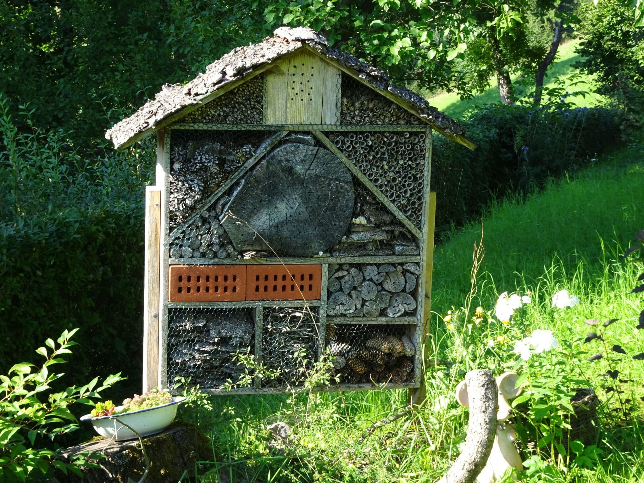 Gallery Image 29