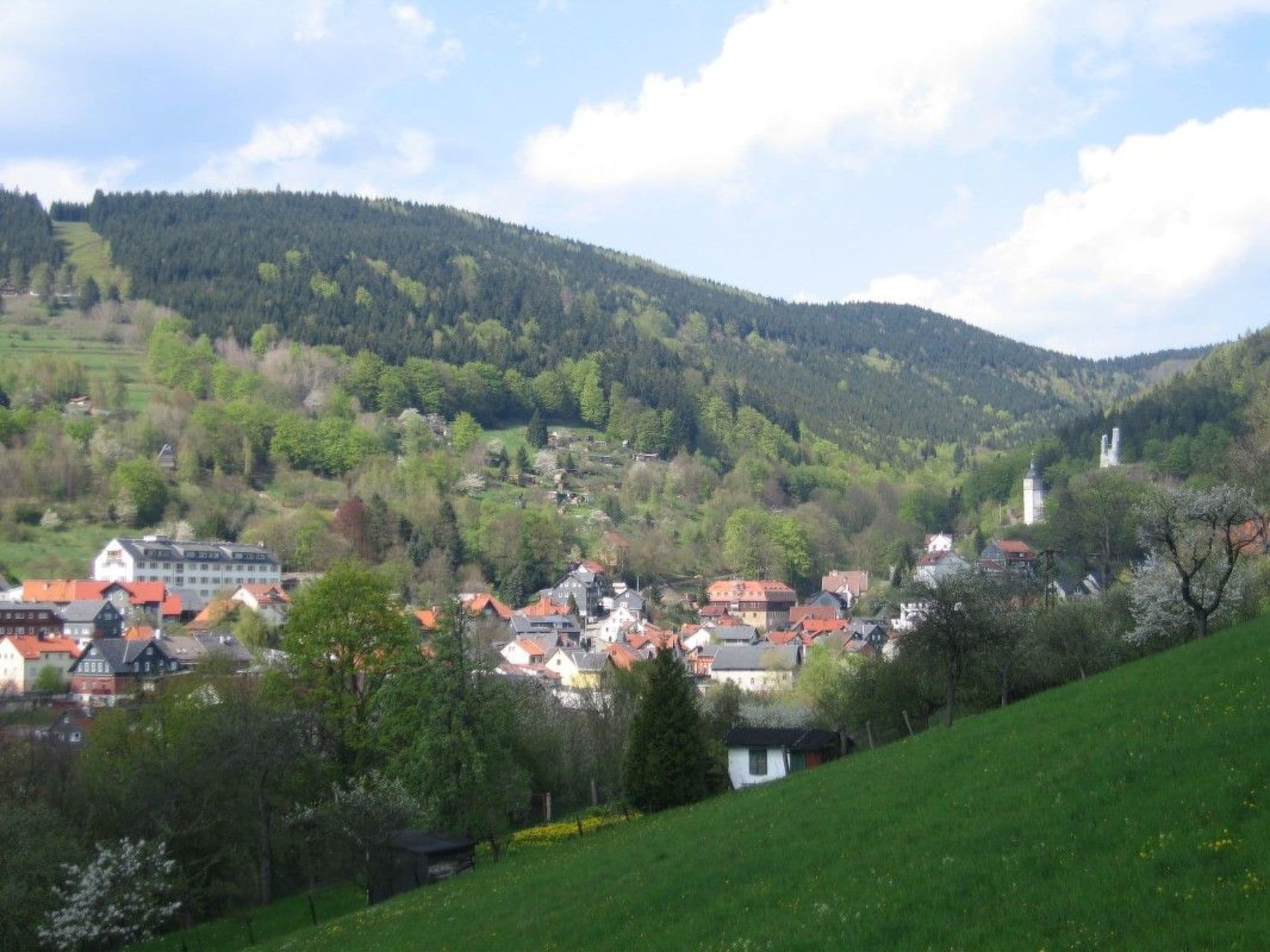 View
