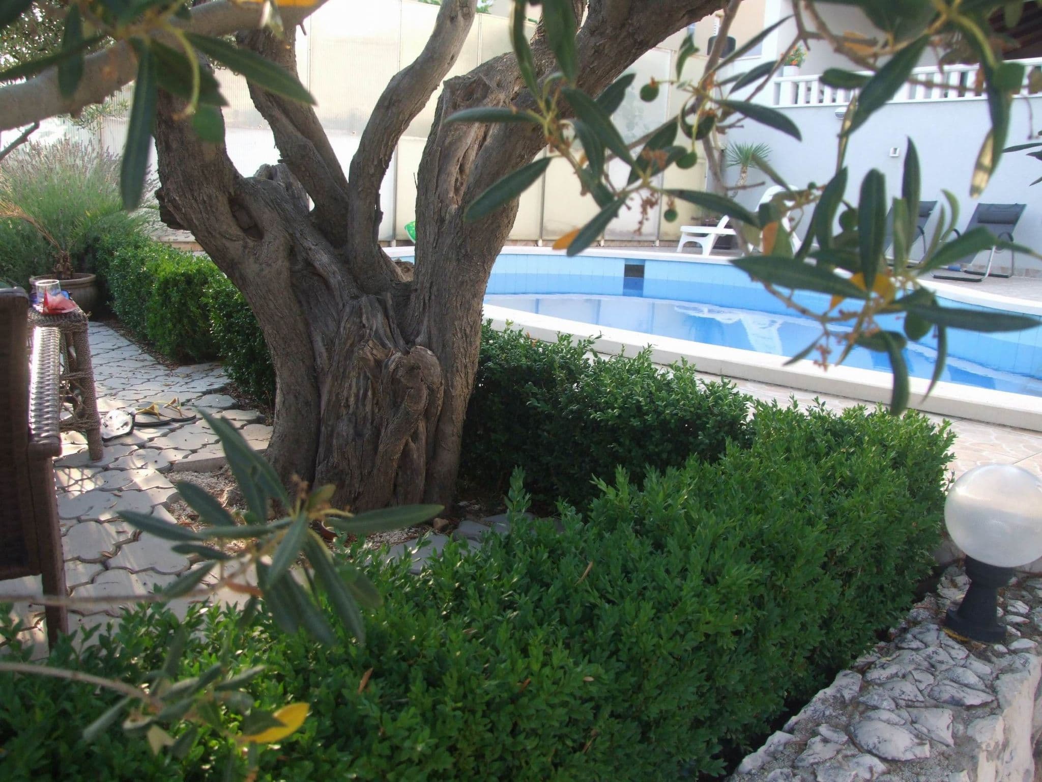 Gallery Image 31