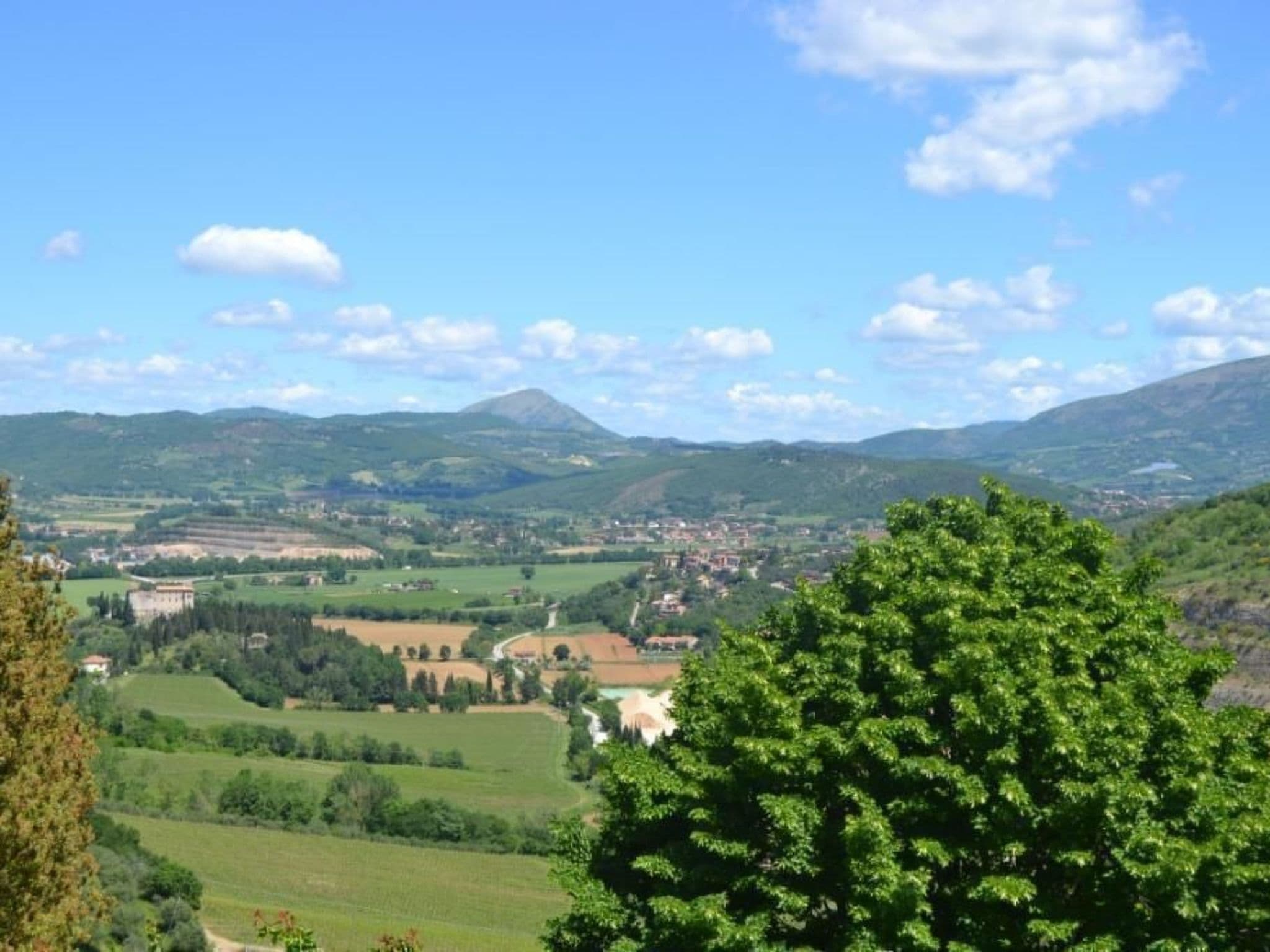 View