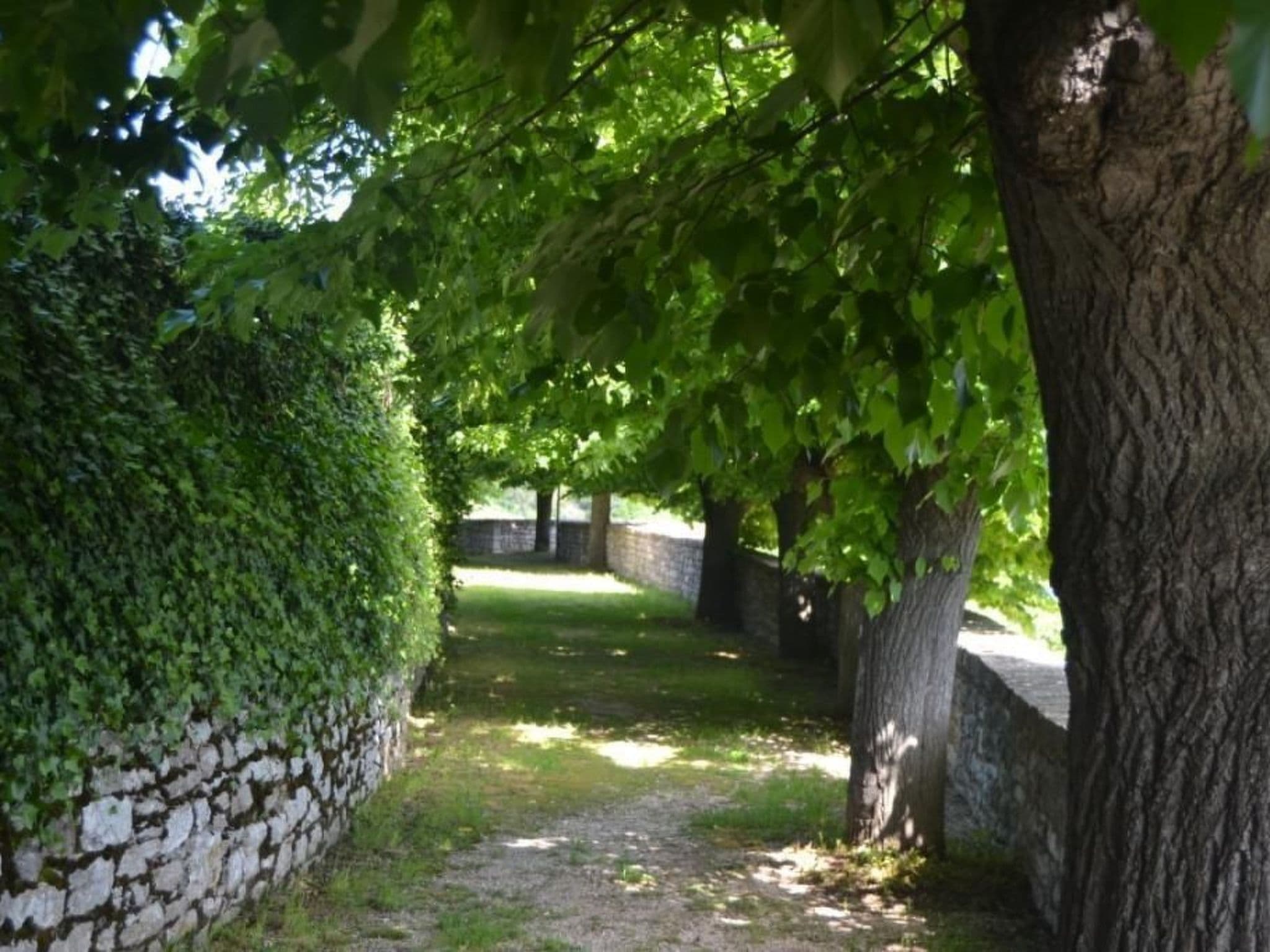 Gallery Image 8