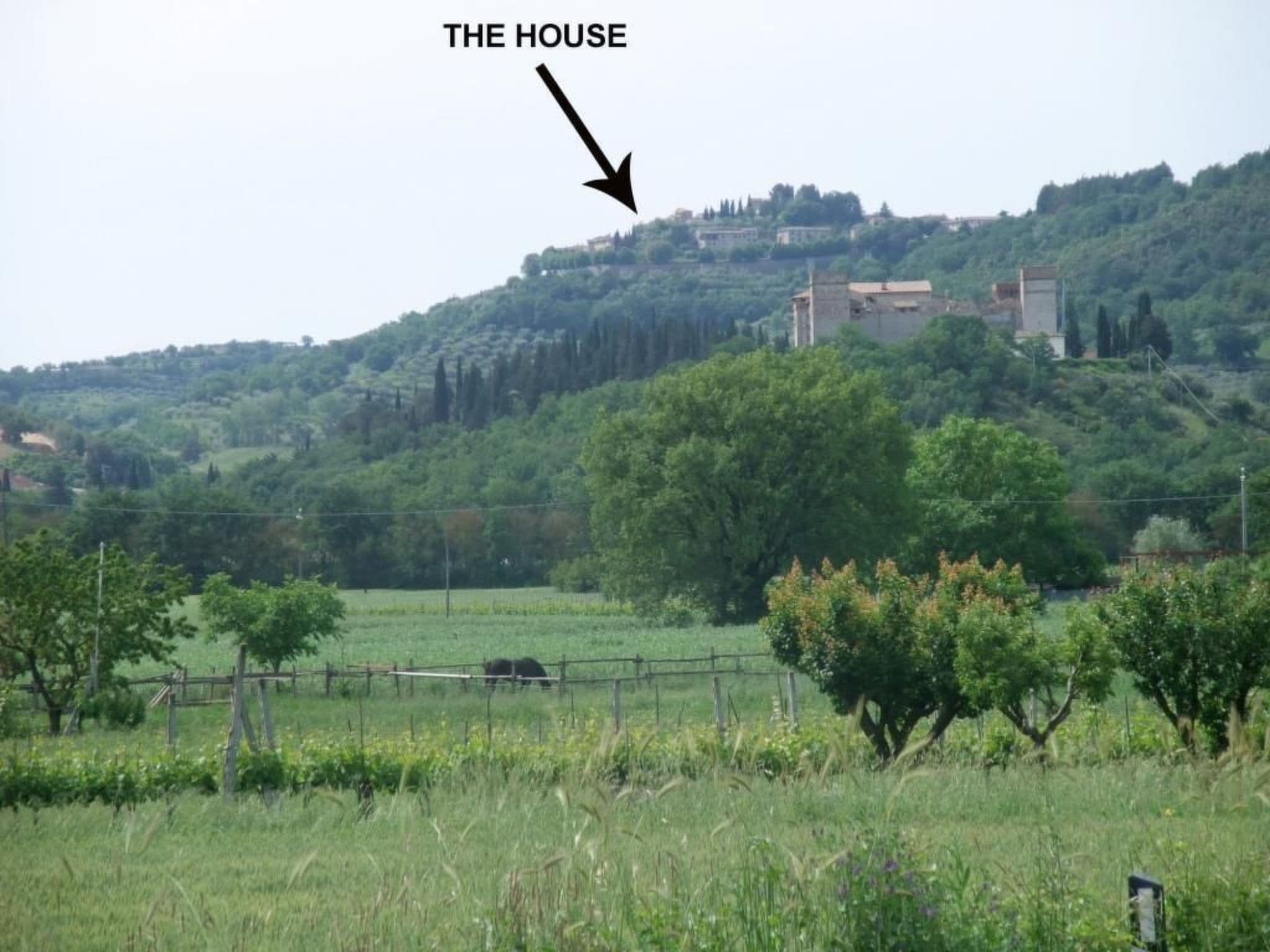 Gallery Image 11