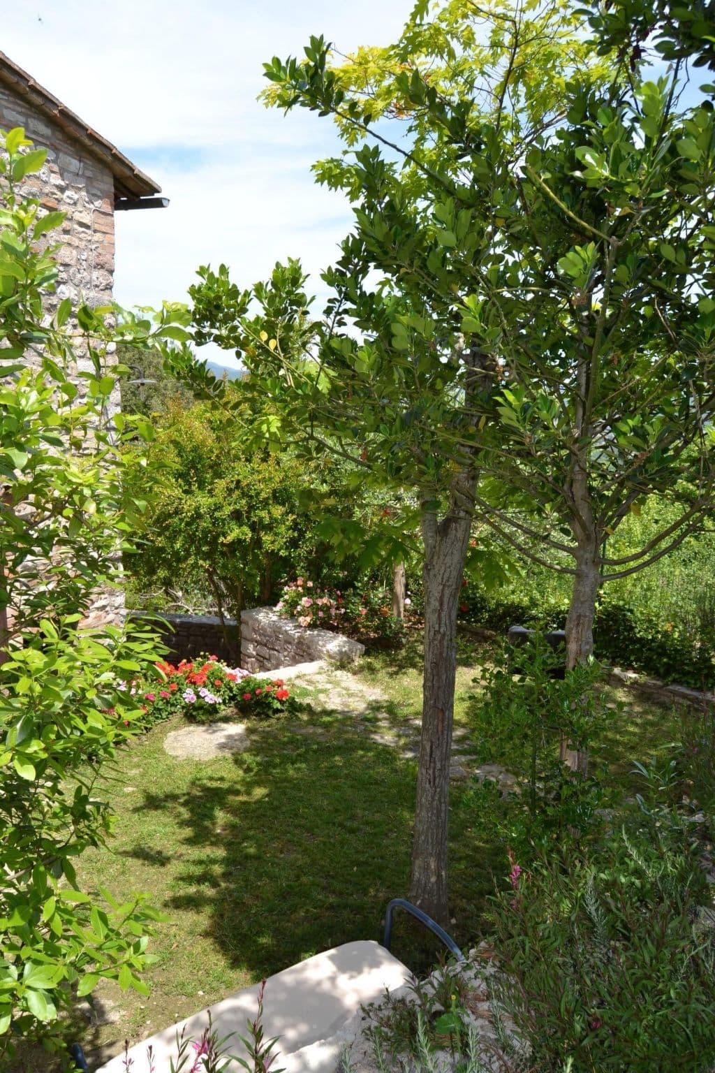Gallery Image 18