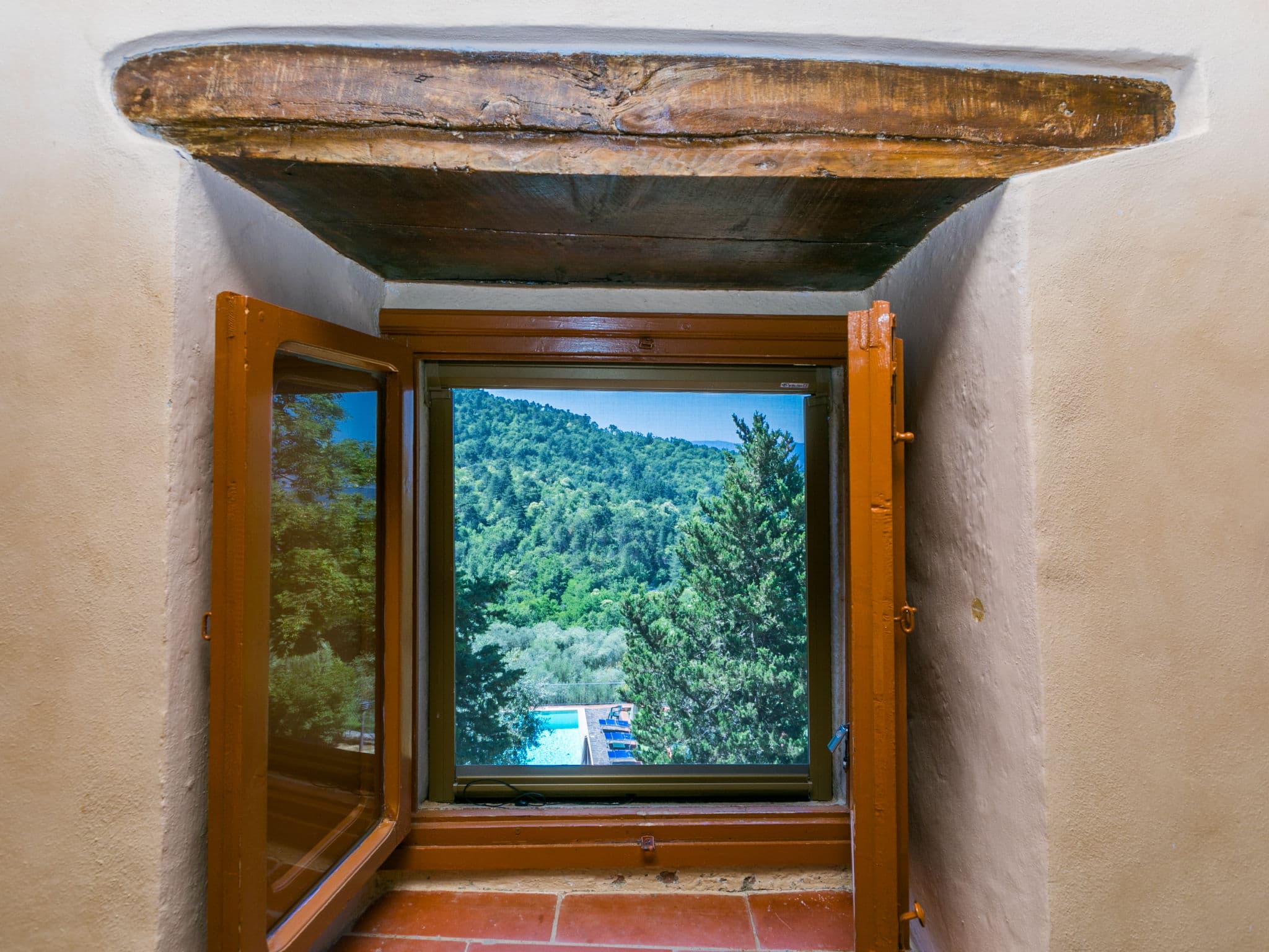 View