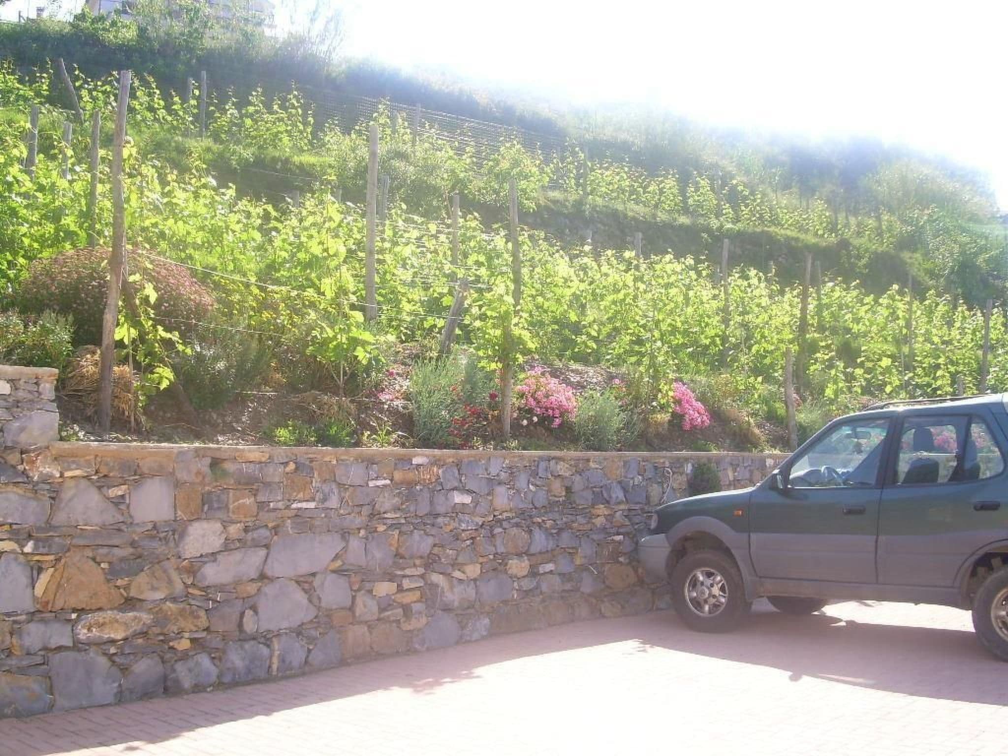 Gallery Image 19