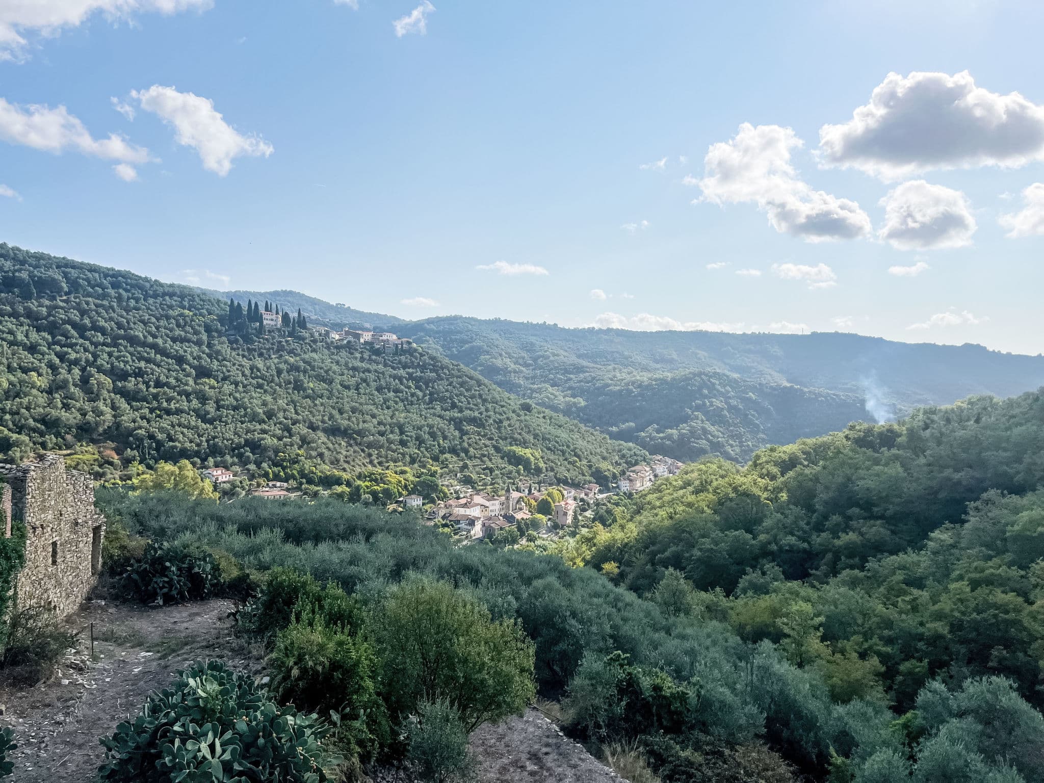 View