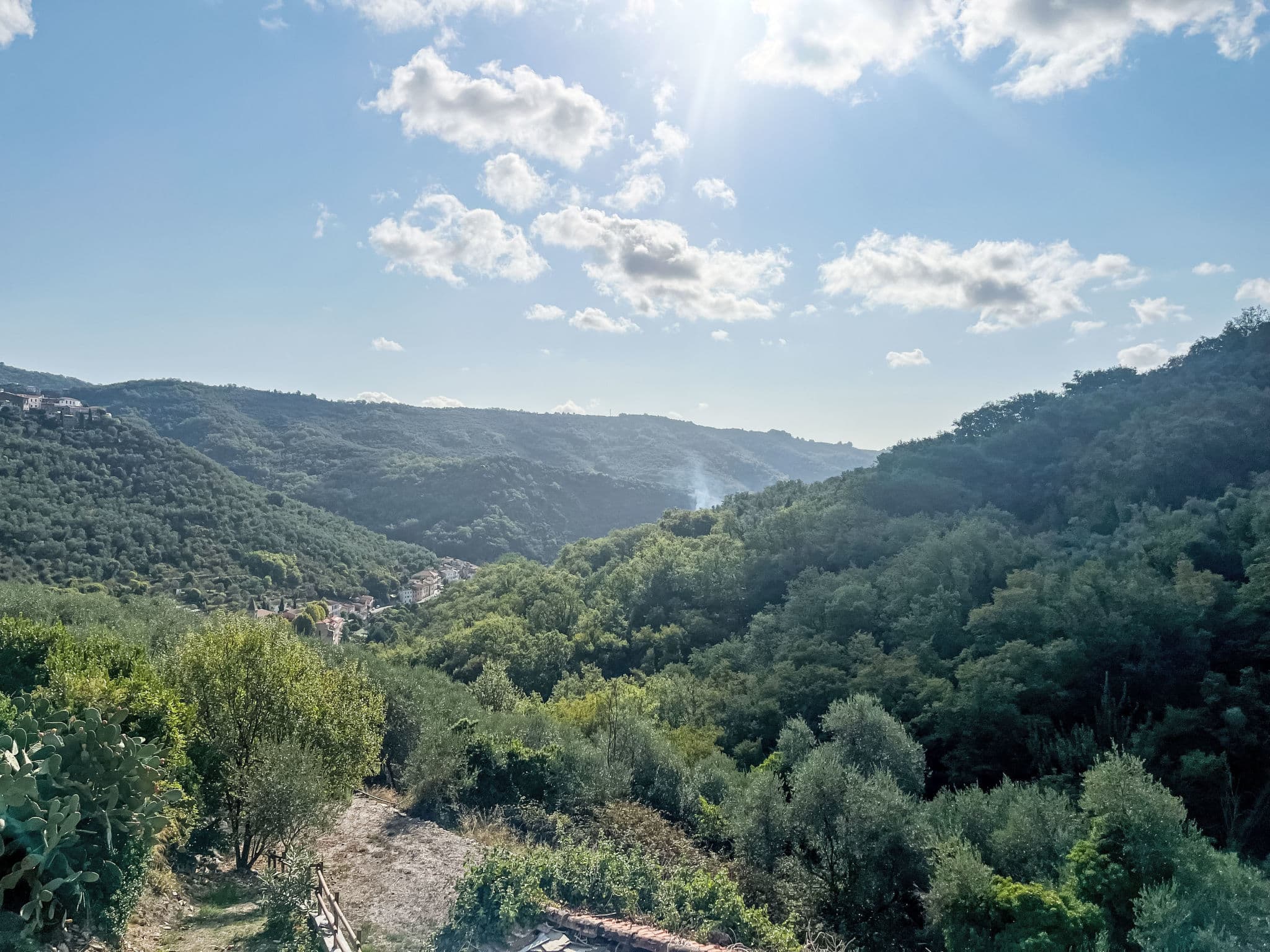 View