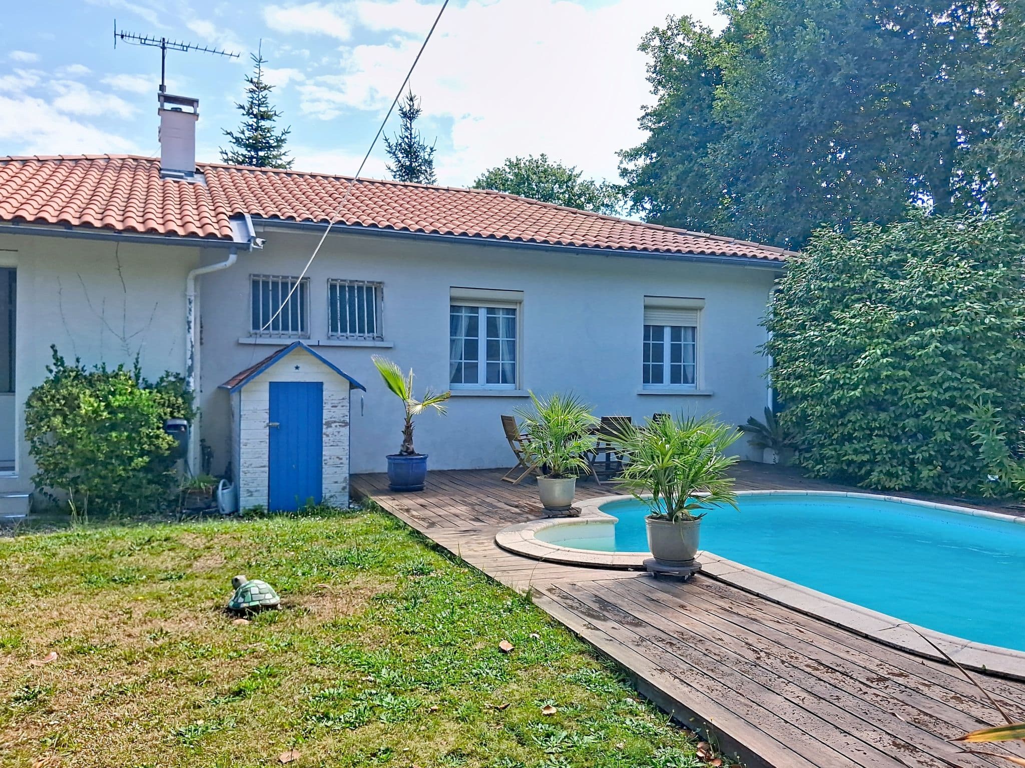 Pool Outdoor