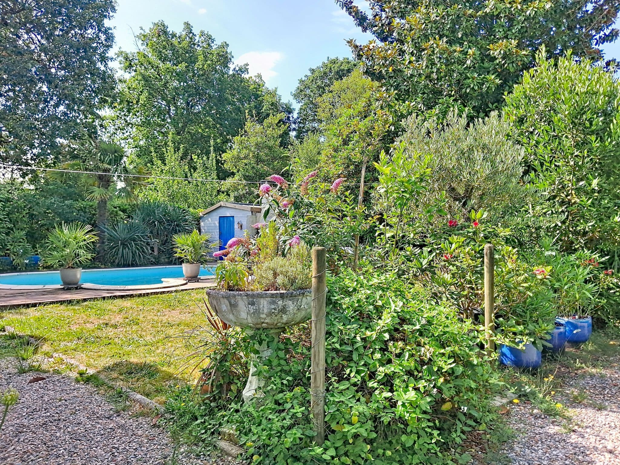 Pool Outdoor
