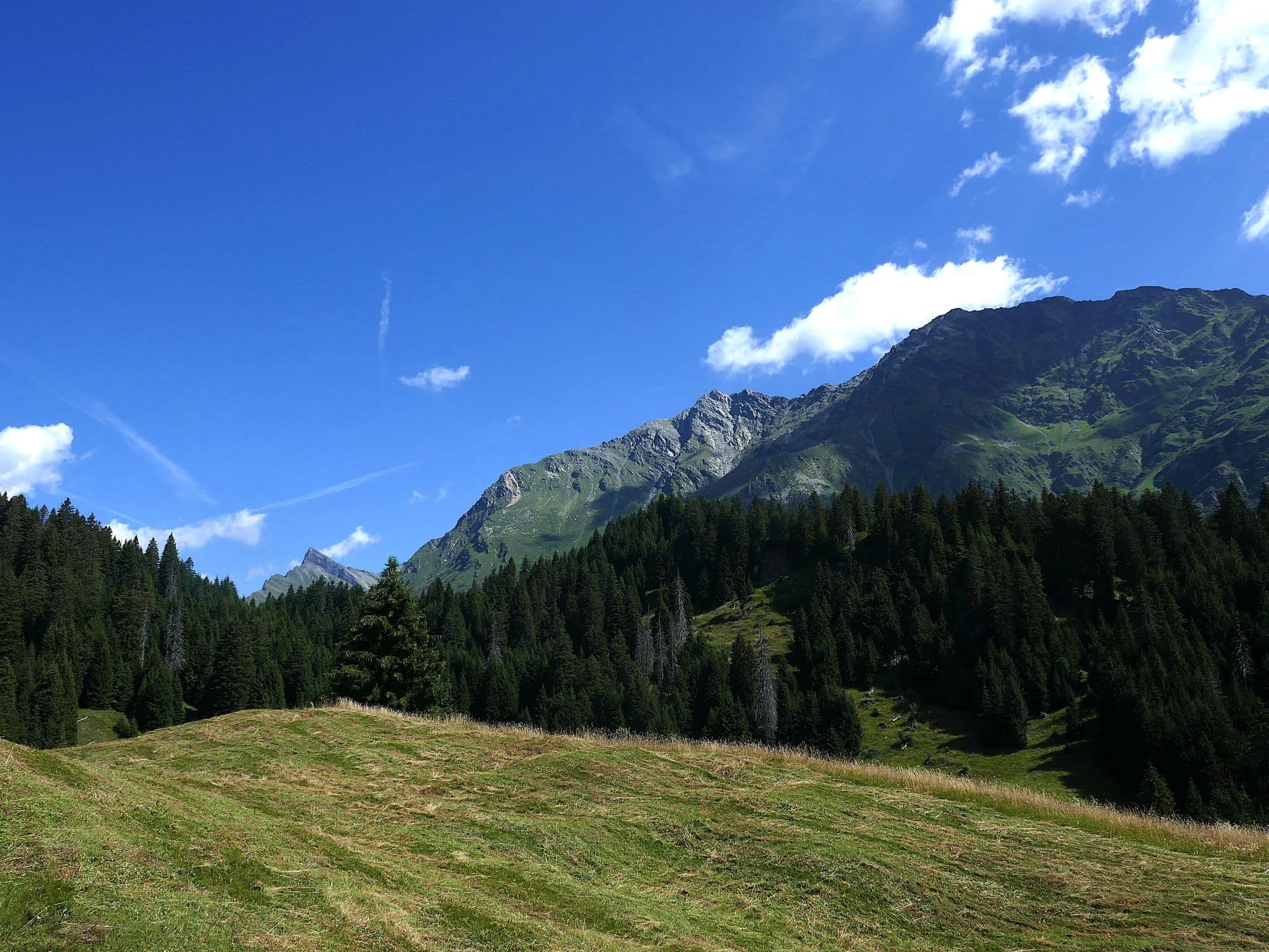 View
