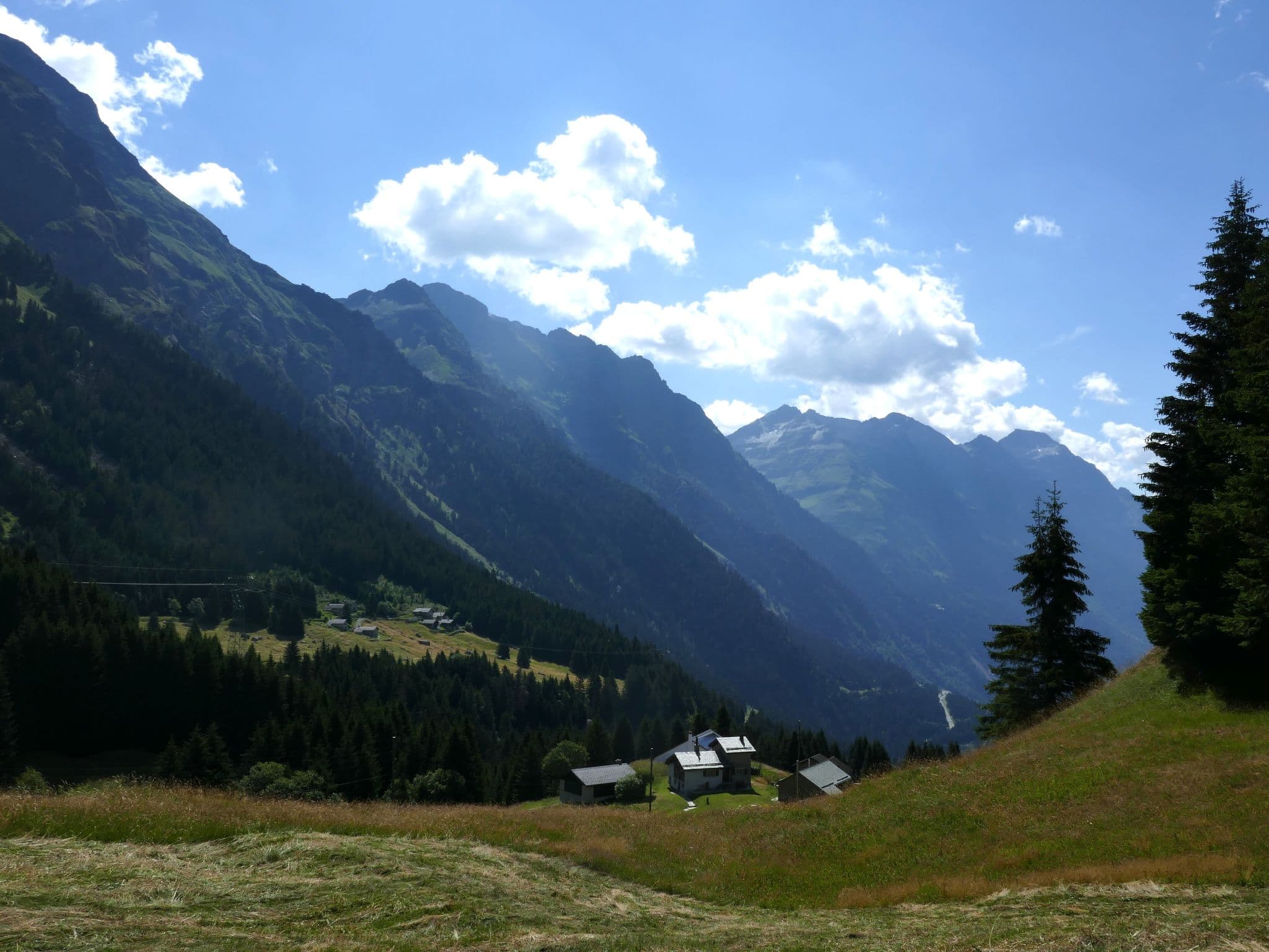 View