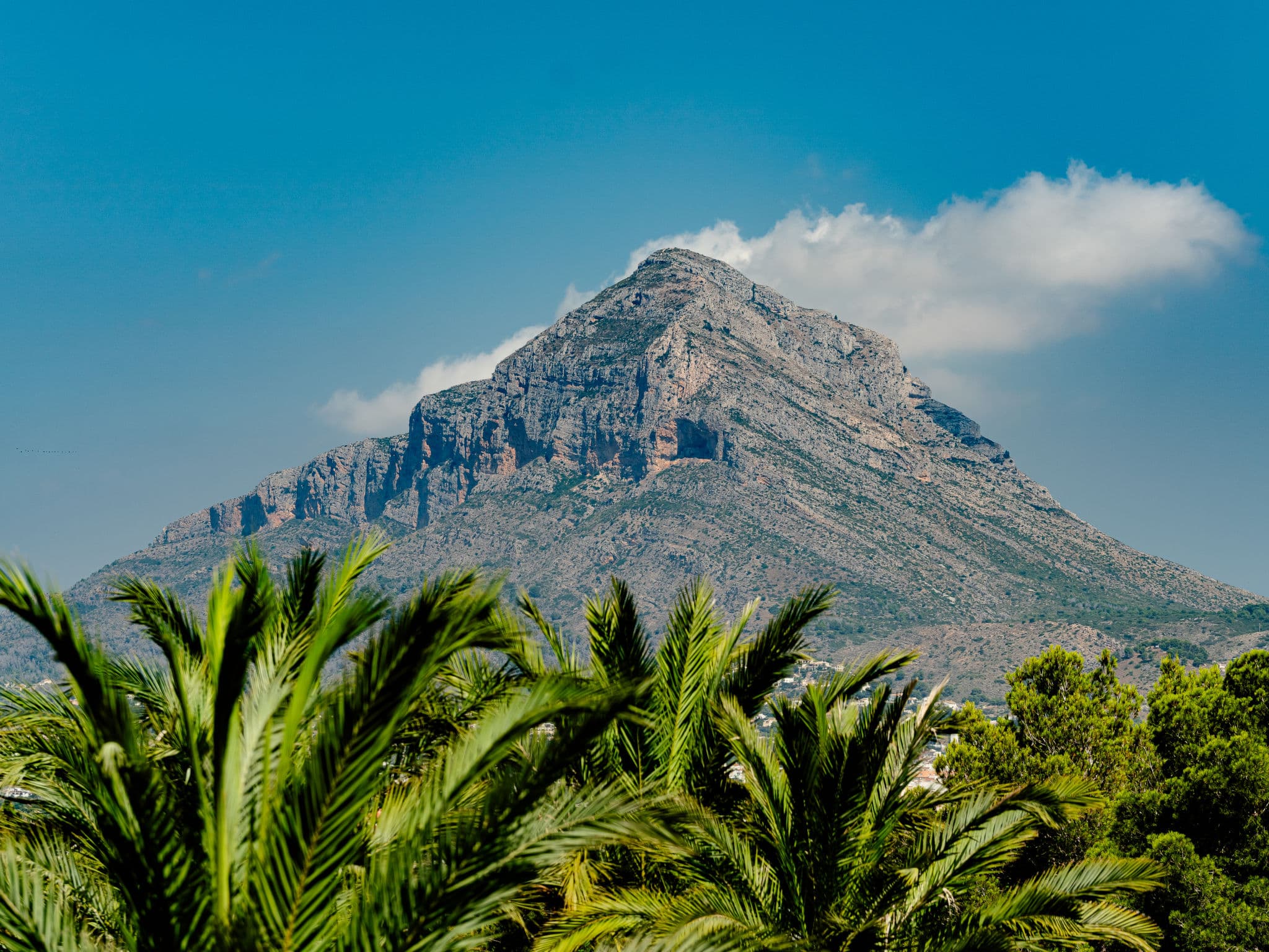 View