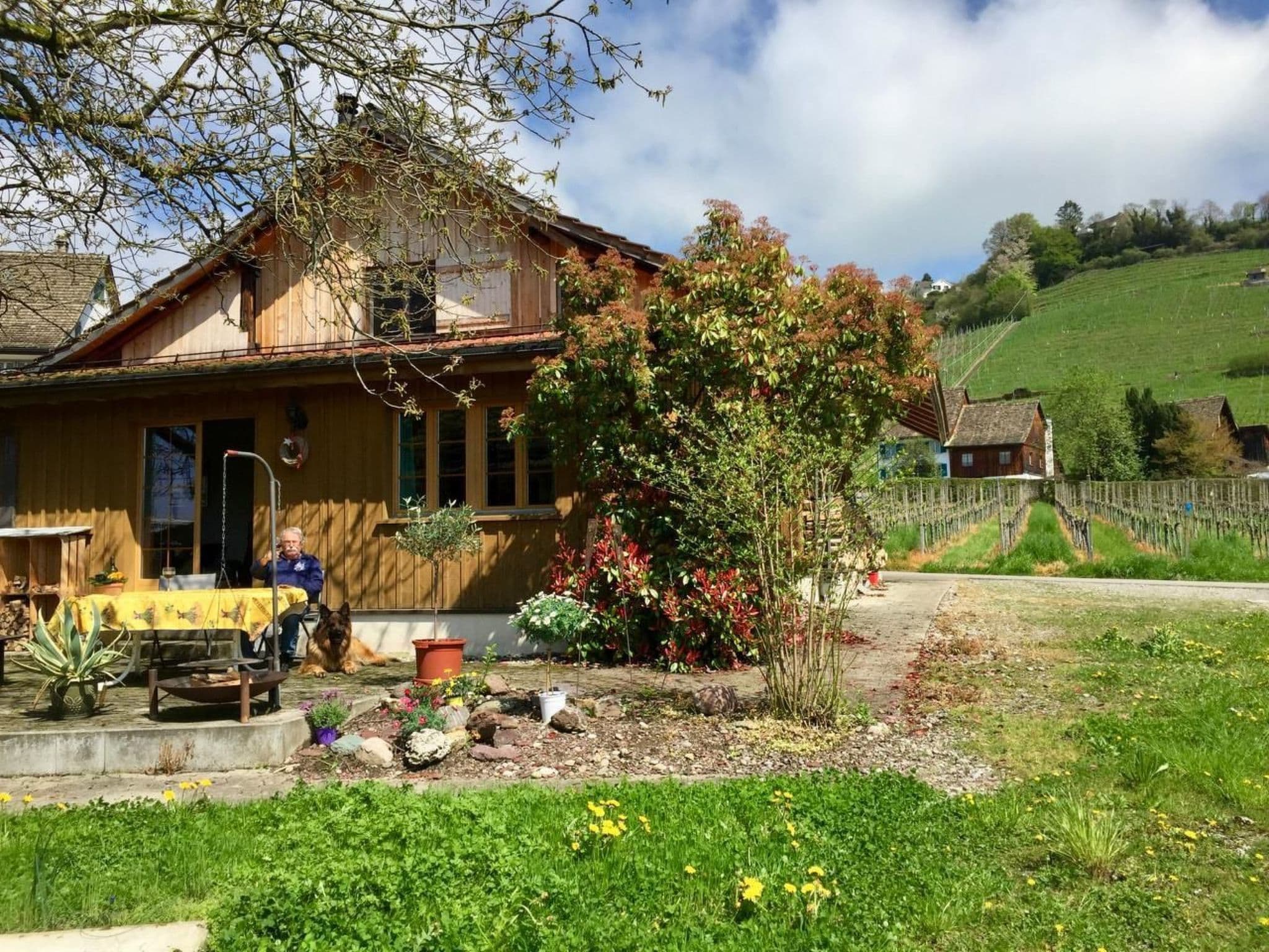 House