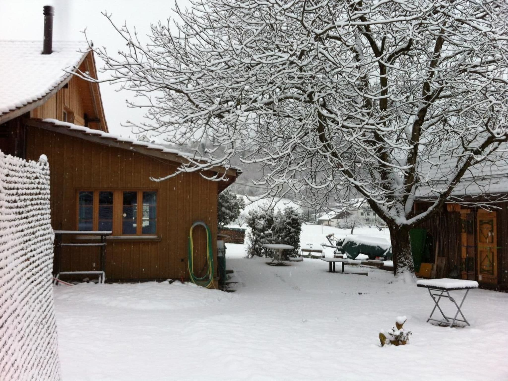 Gallery Image 22