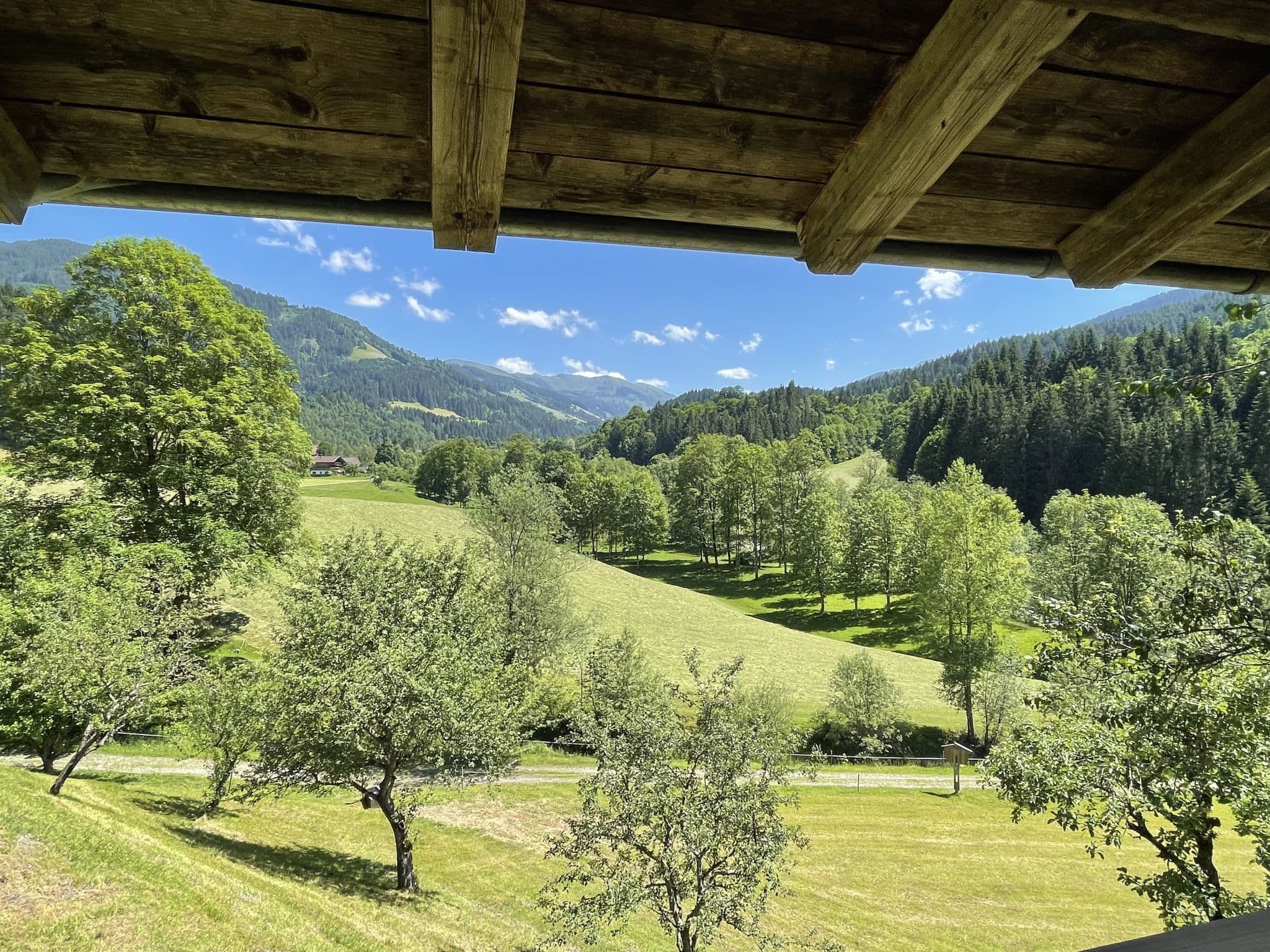 View