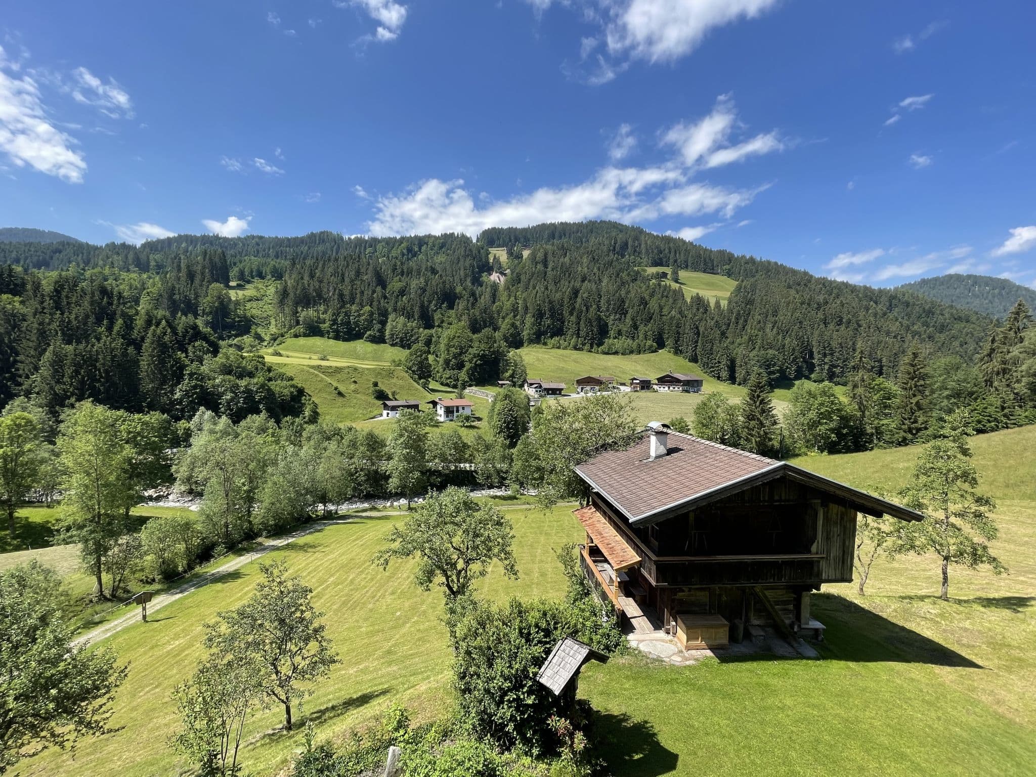 View