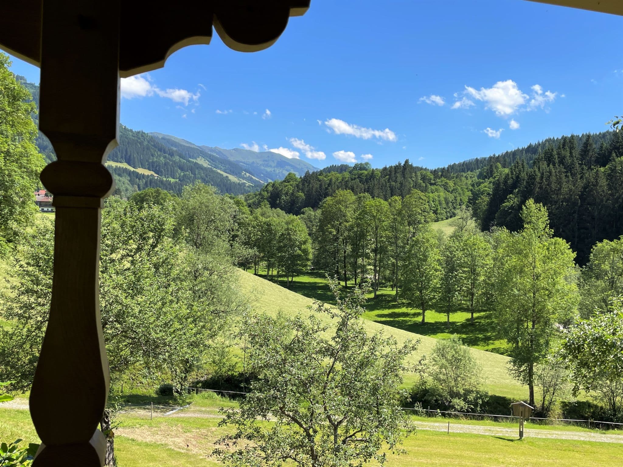 View