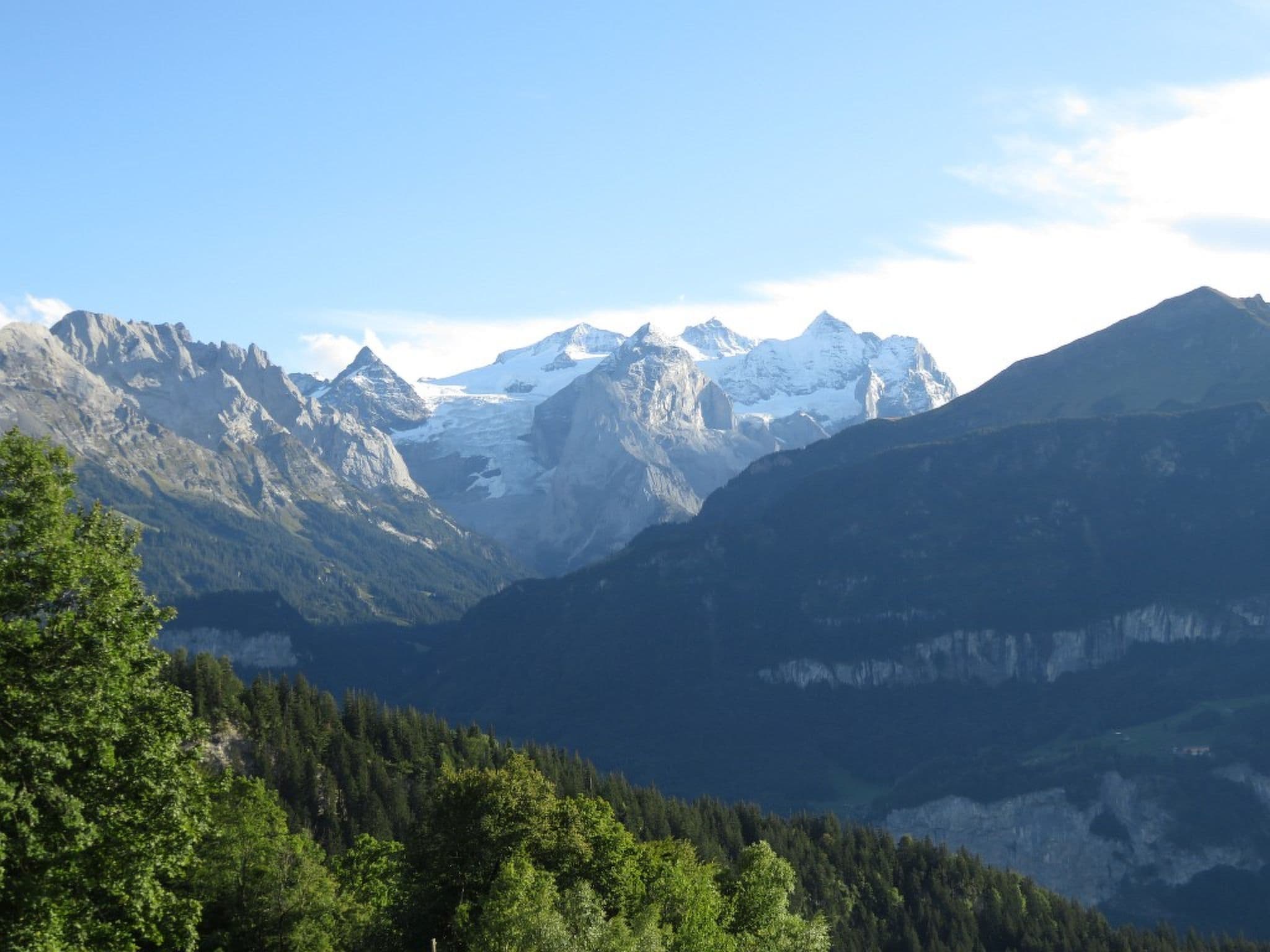 View