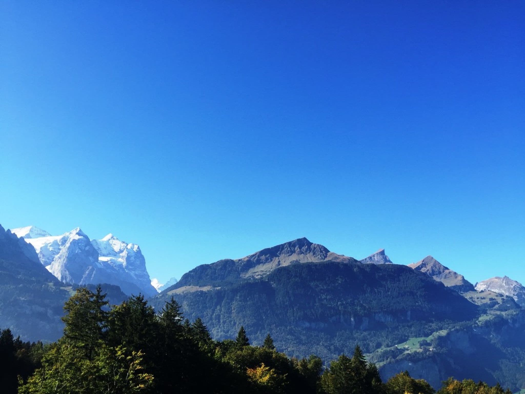 View