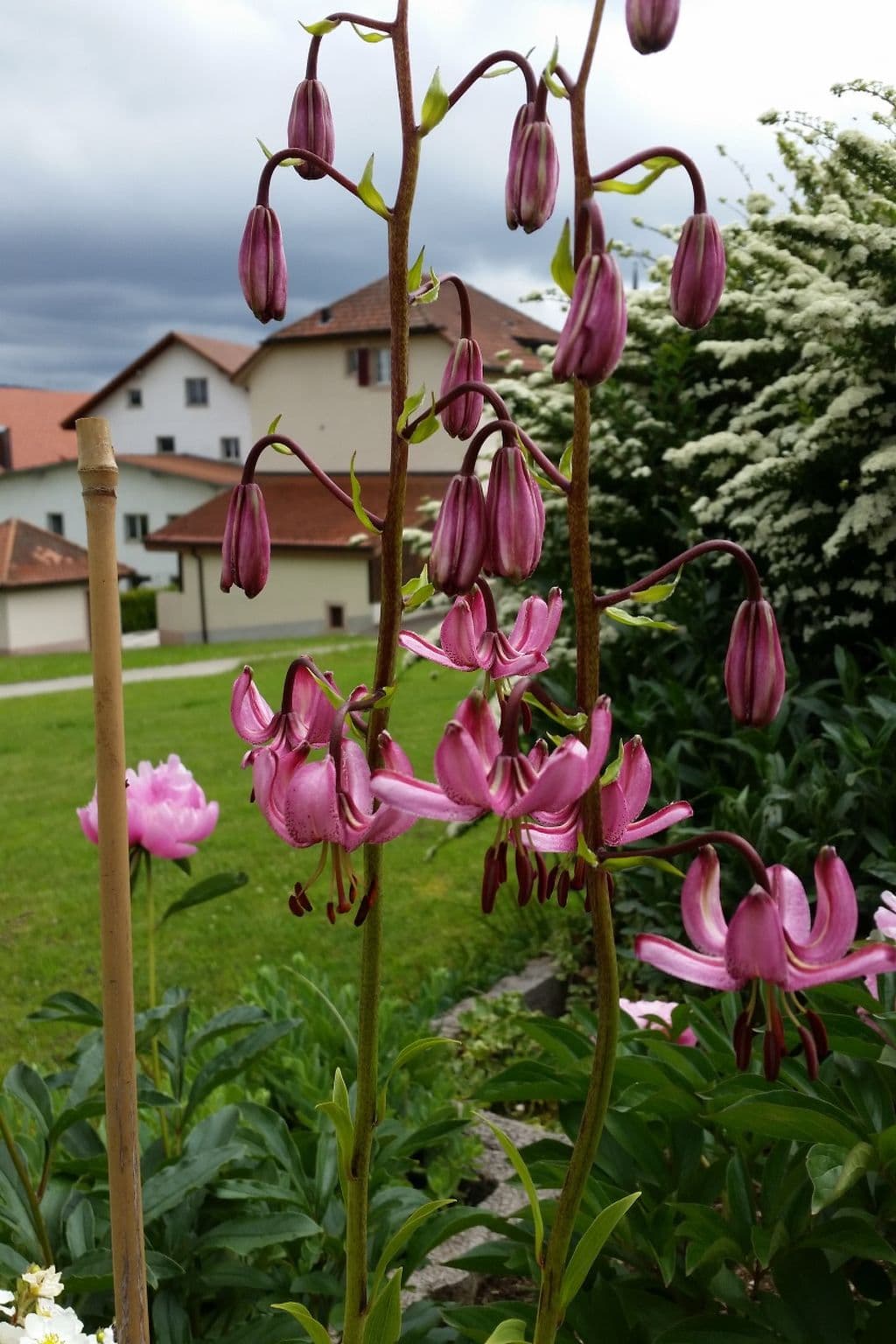 View