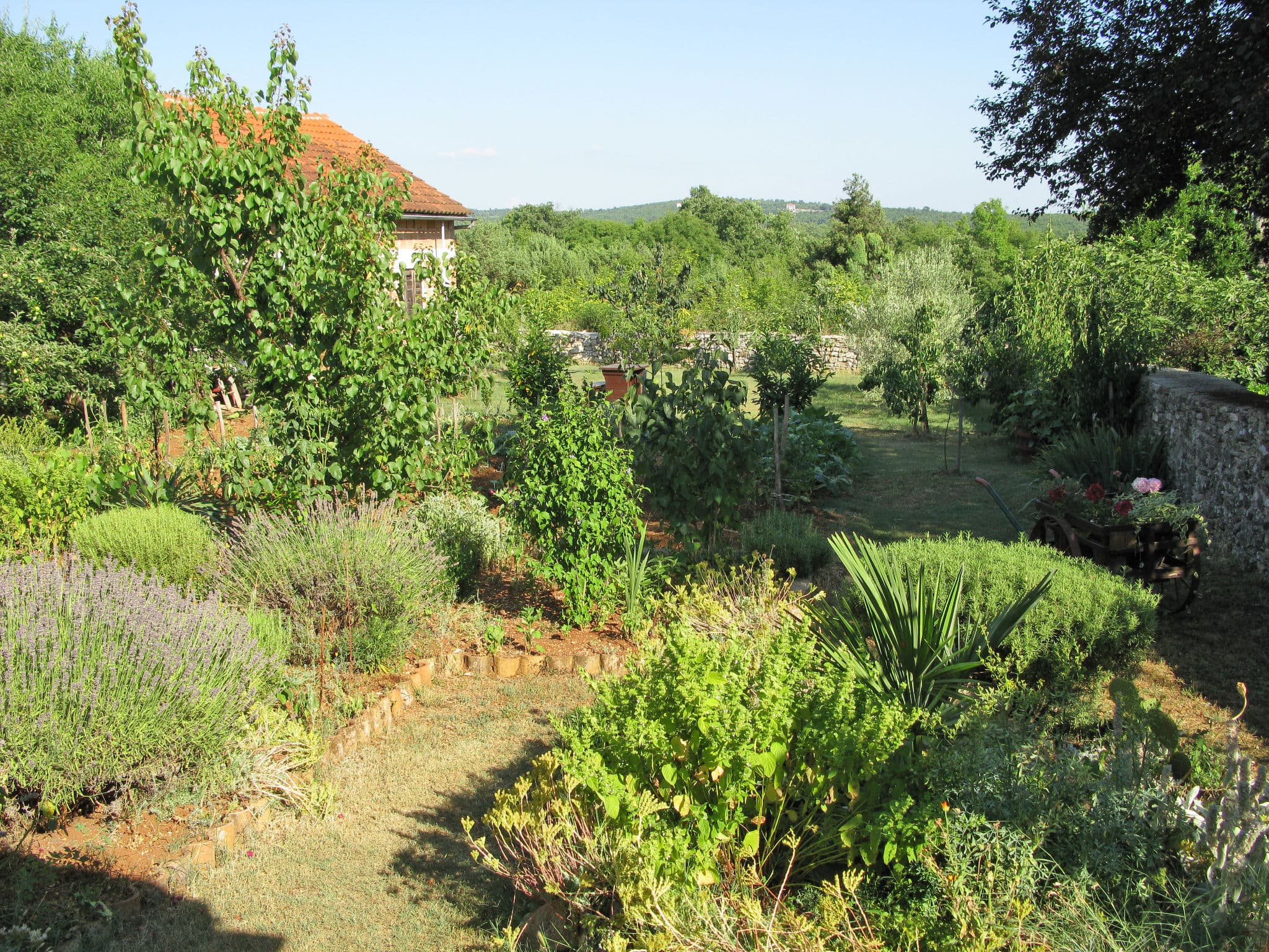 View