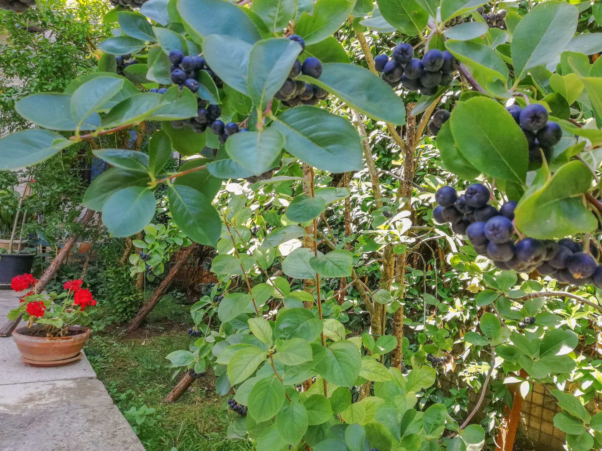 Outdoor