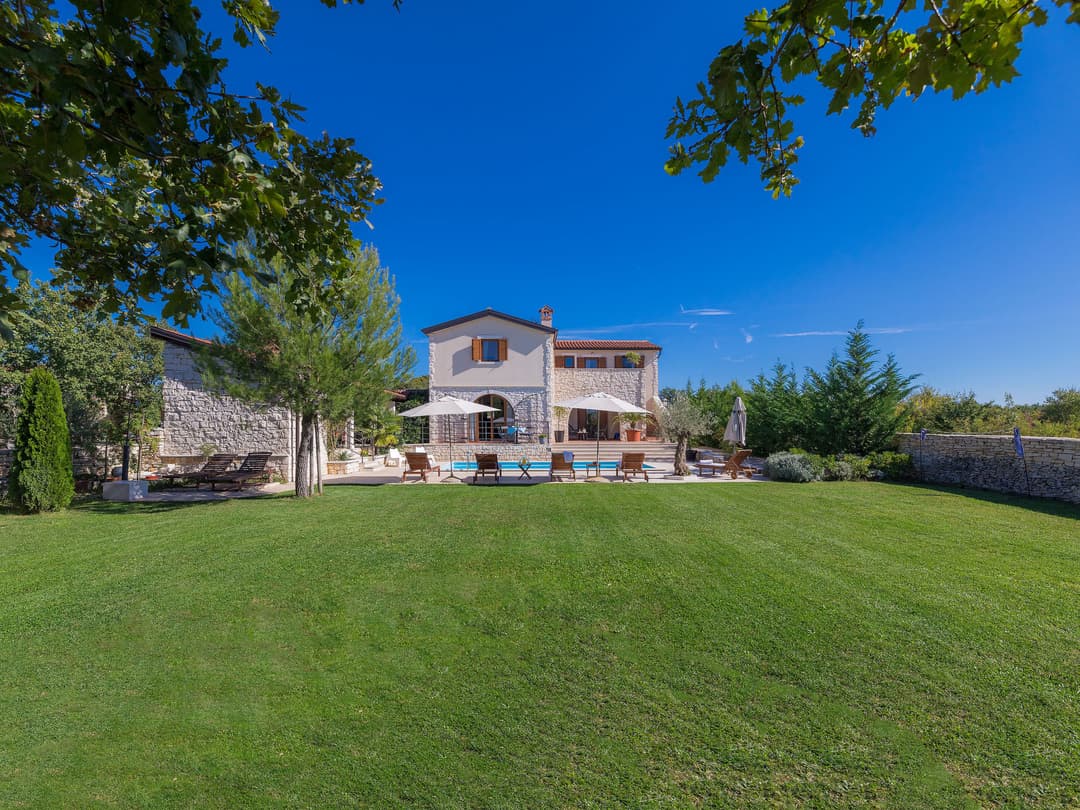 Large Image