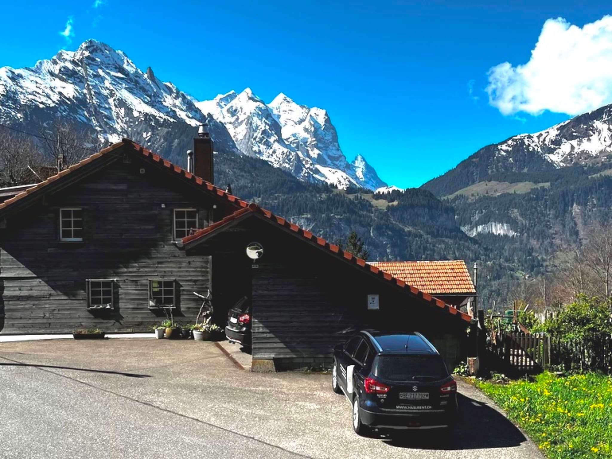 View