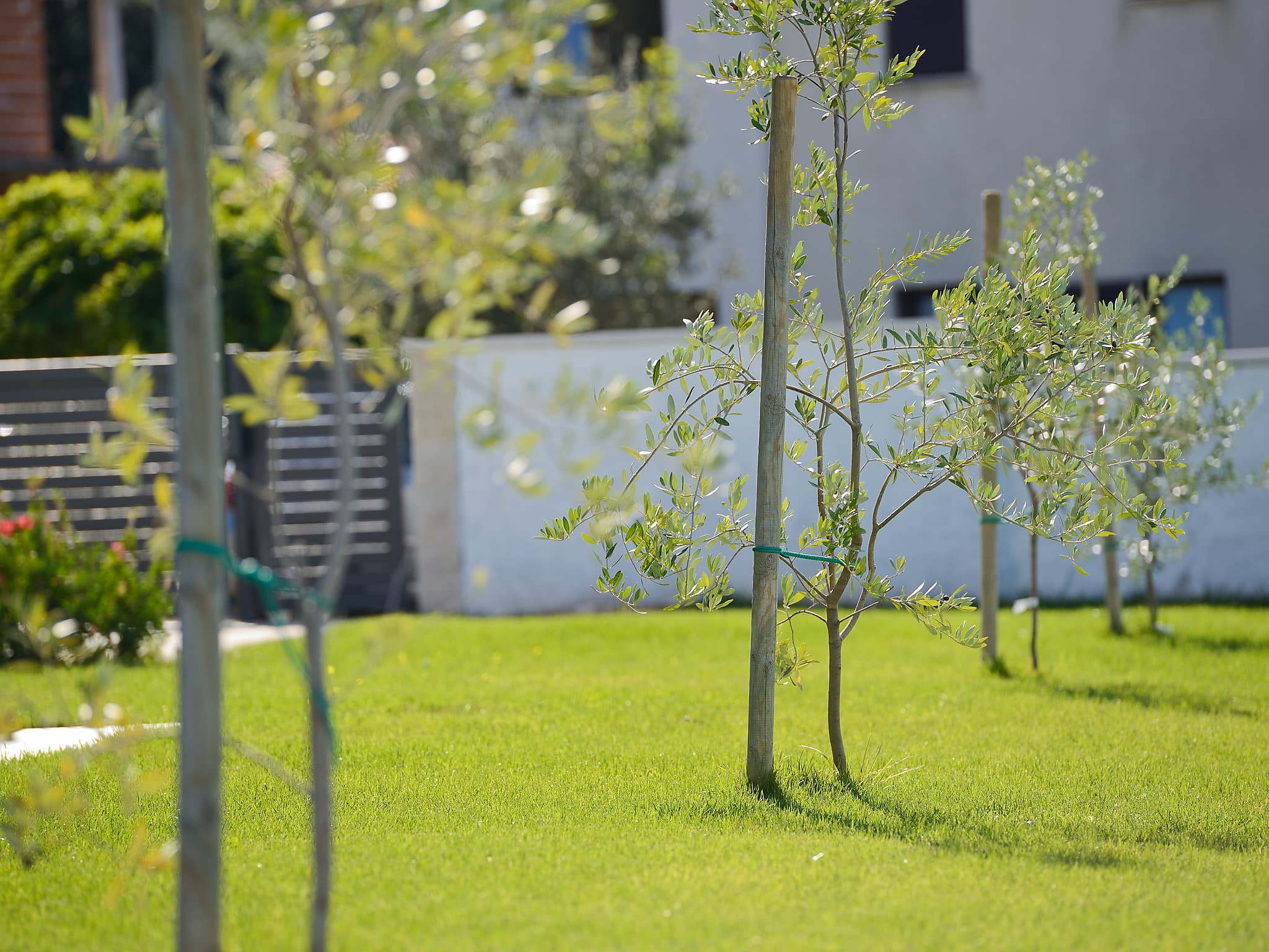 Outdoor