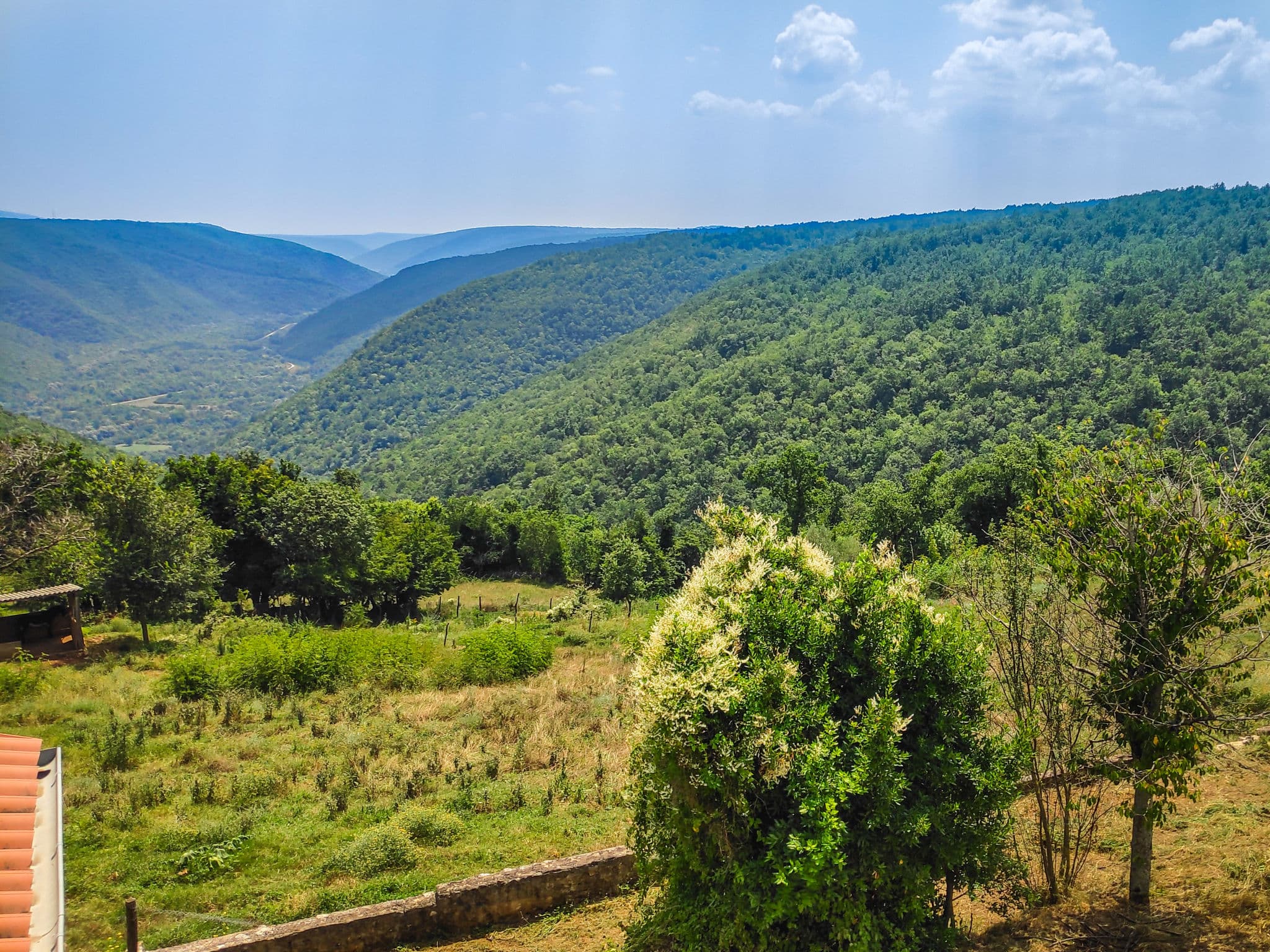 View