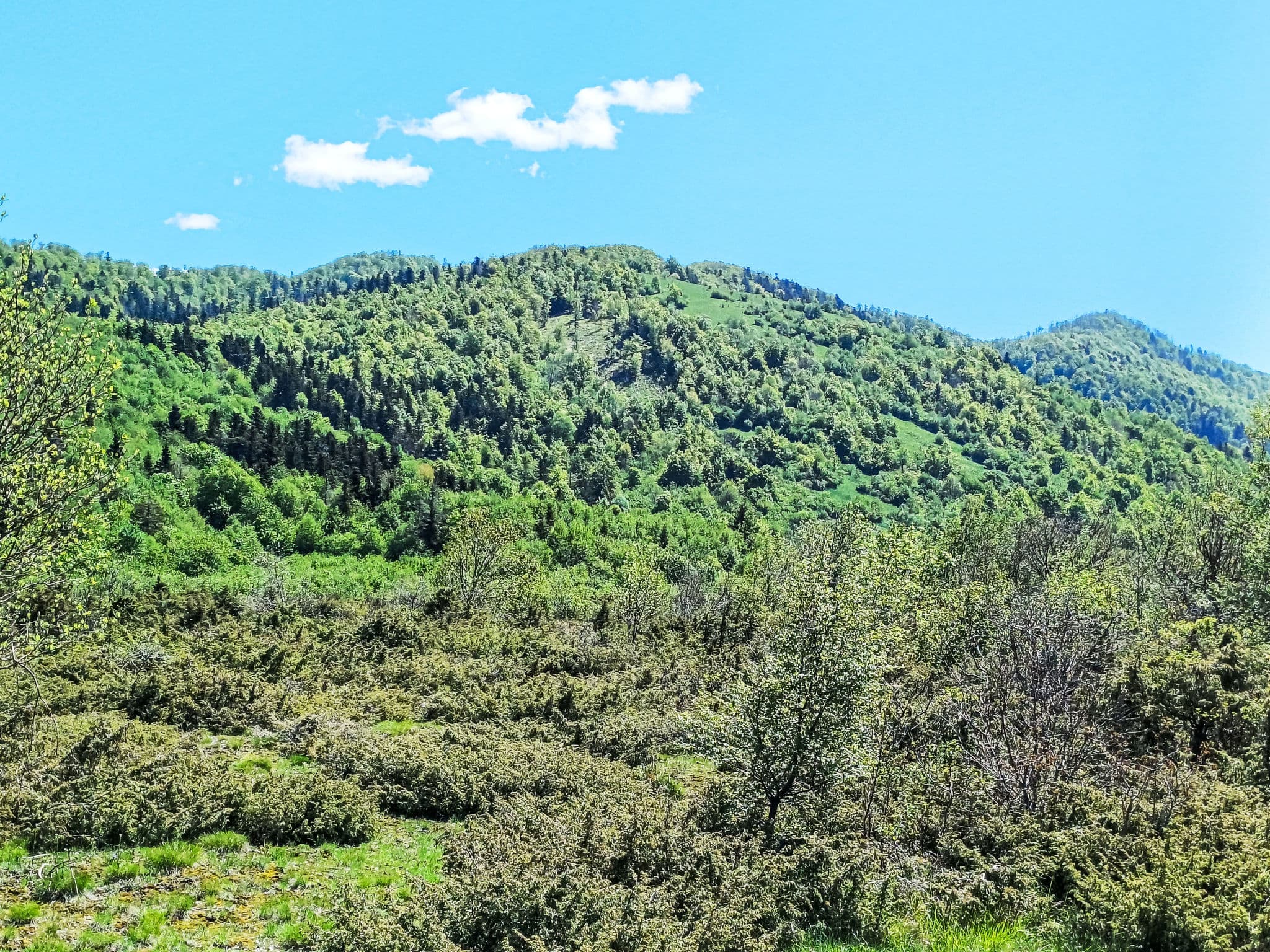 View